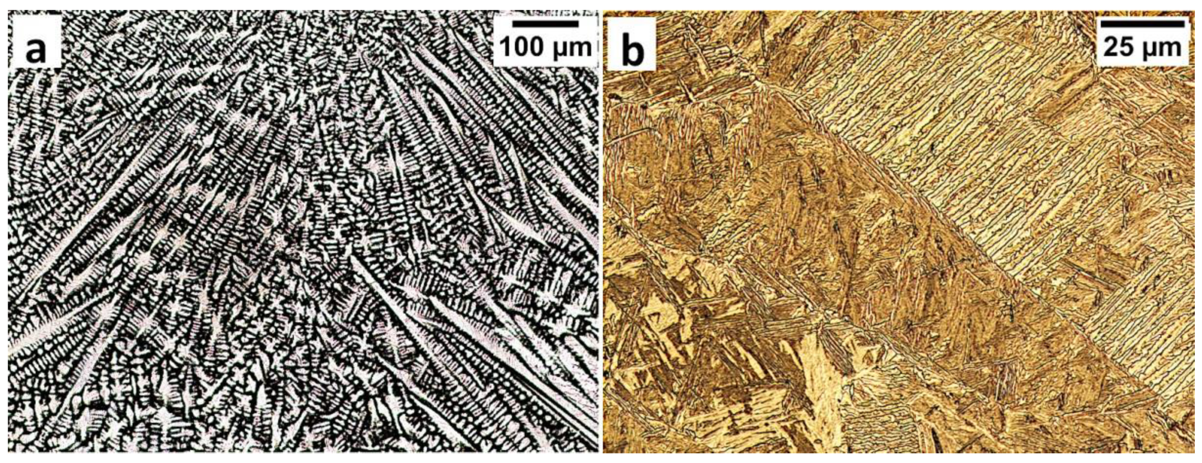 Materials 13 04841 g005