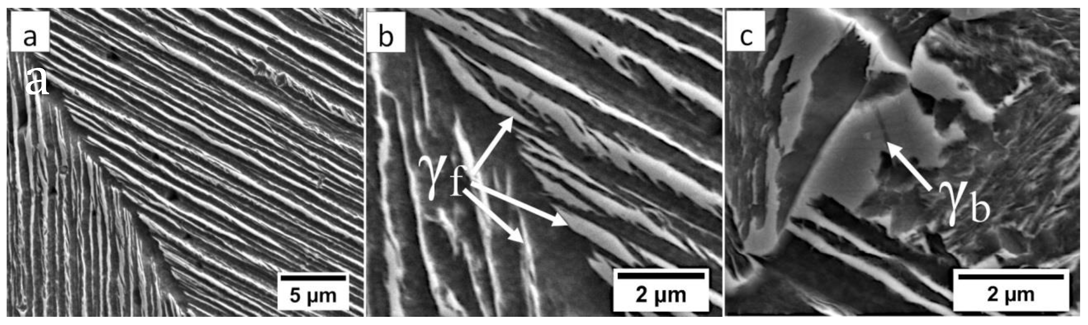 Materials 13 04841 g006