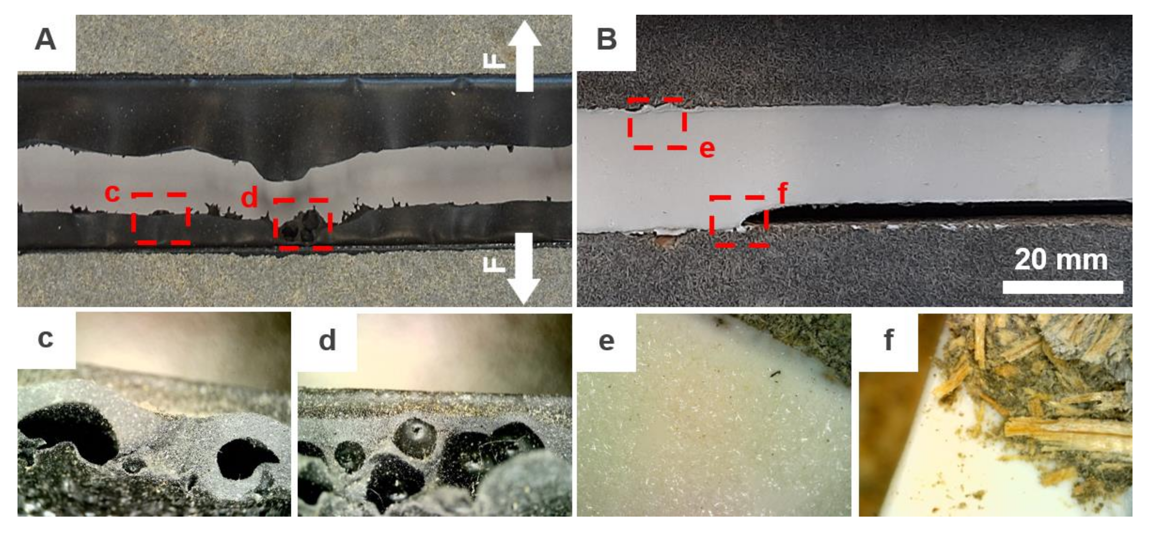 Materials 13 04847 g005