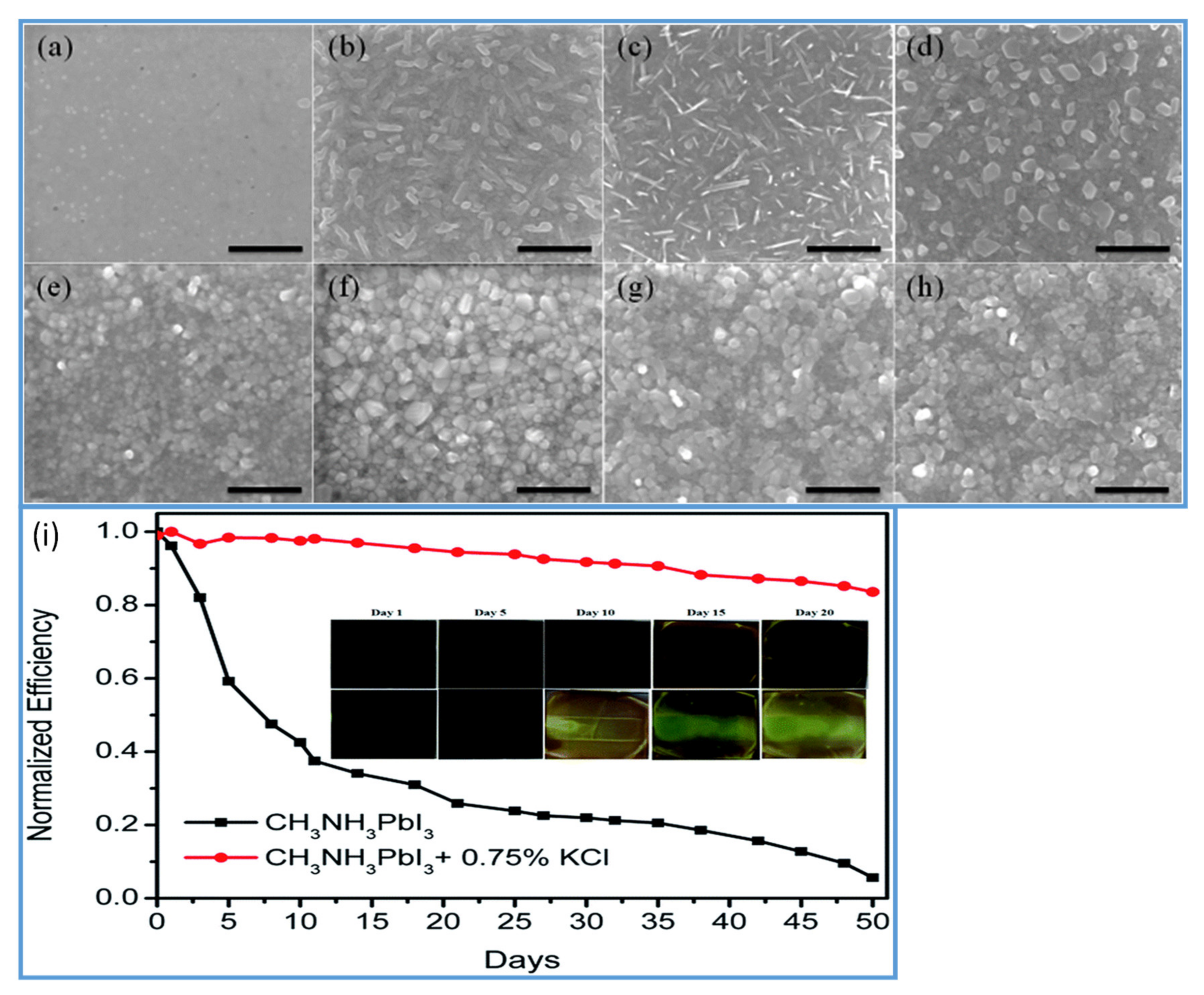 Materials 13 04851 g004