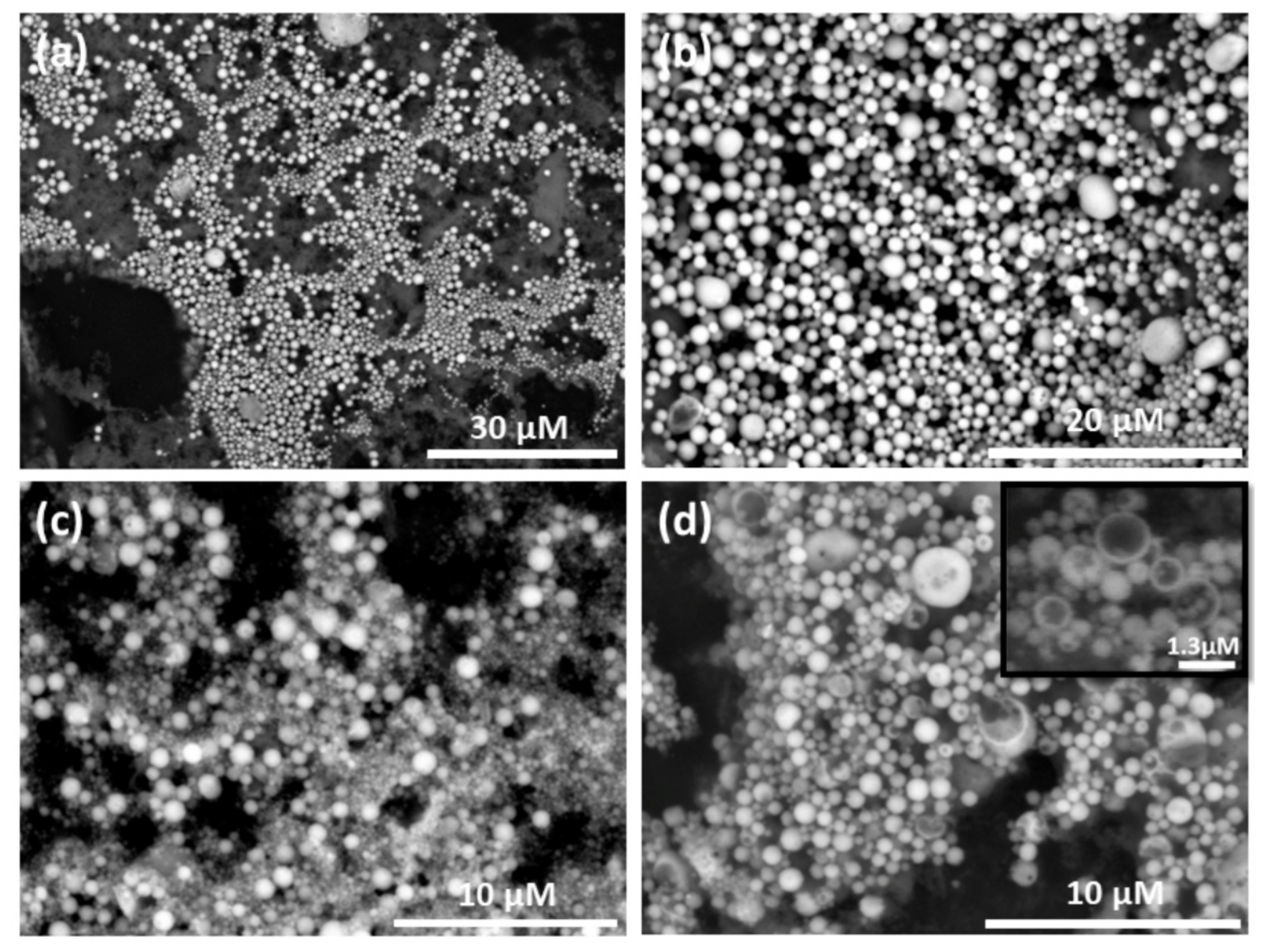 Materials 13 04856 g001