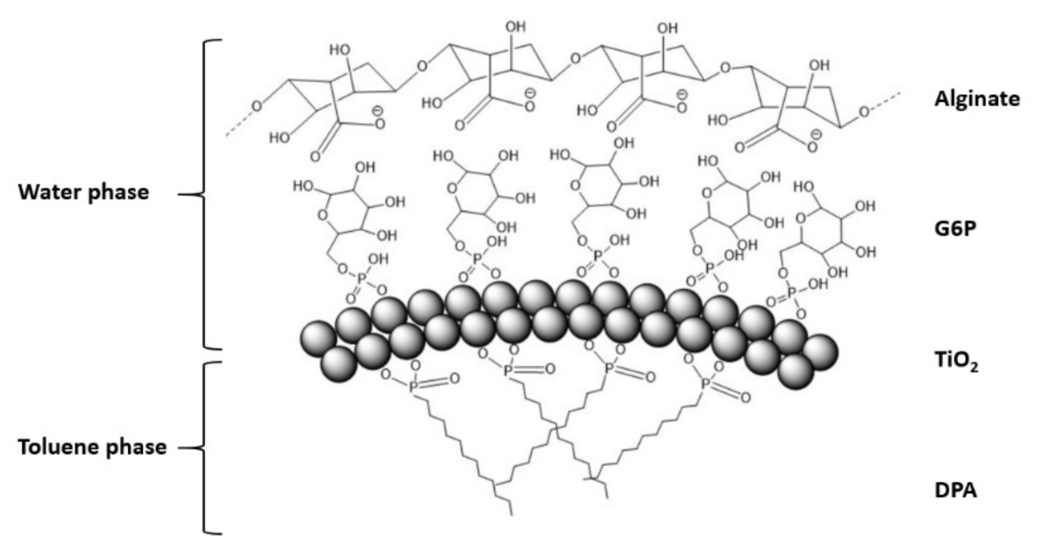 Materials 13 04856 g004