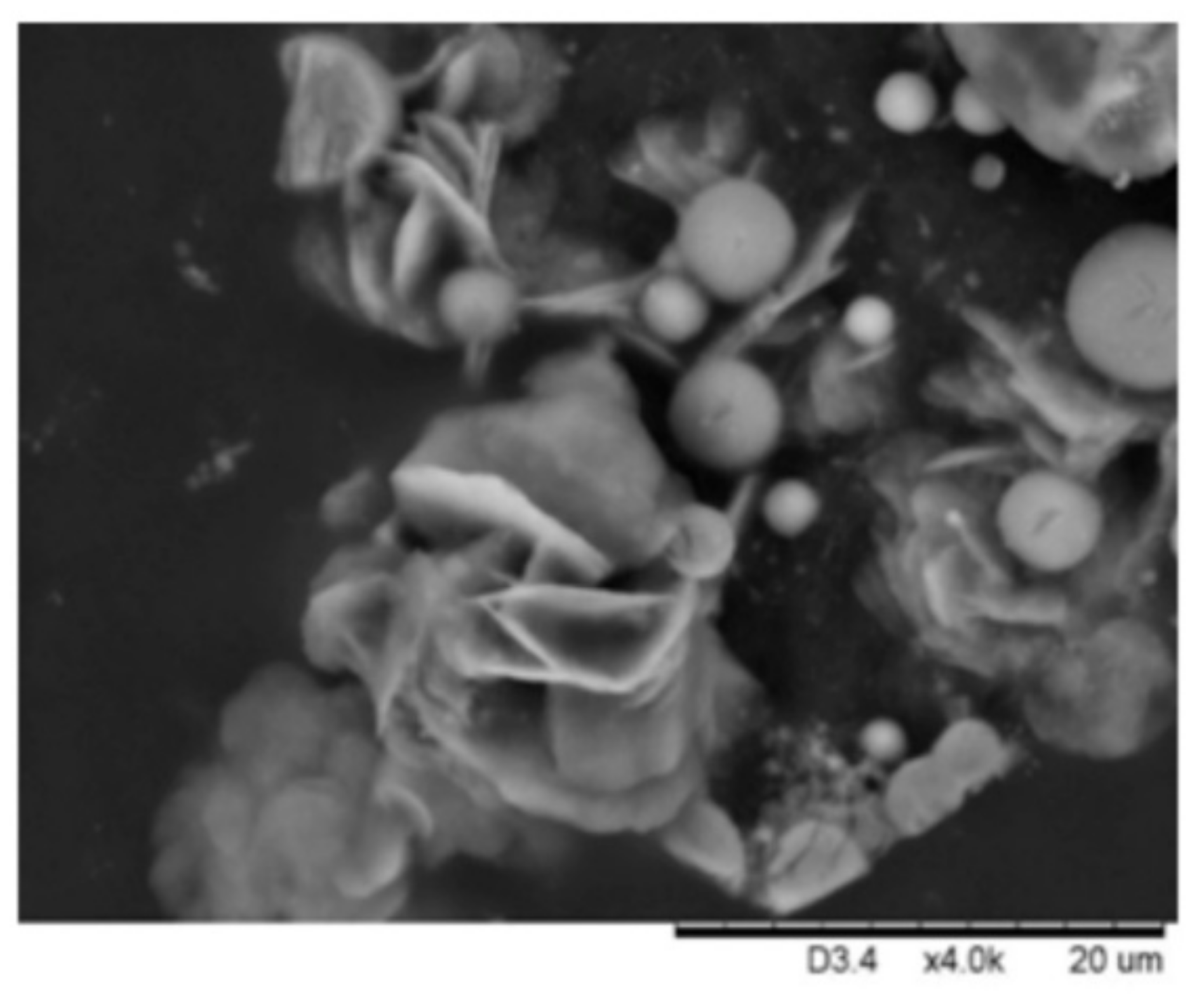 Materials 13 04856 g0a3