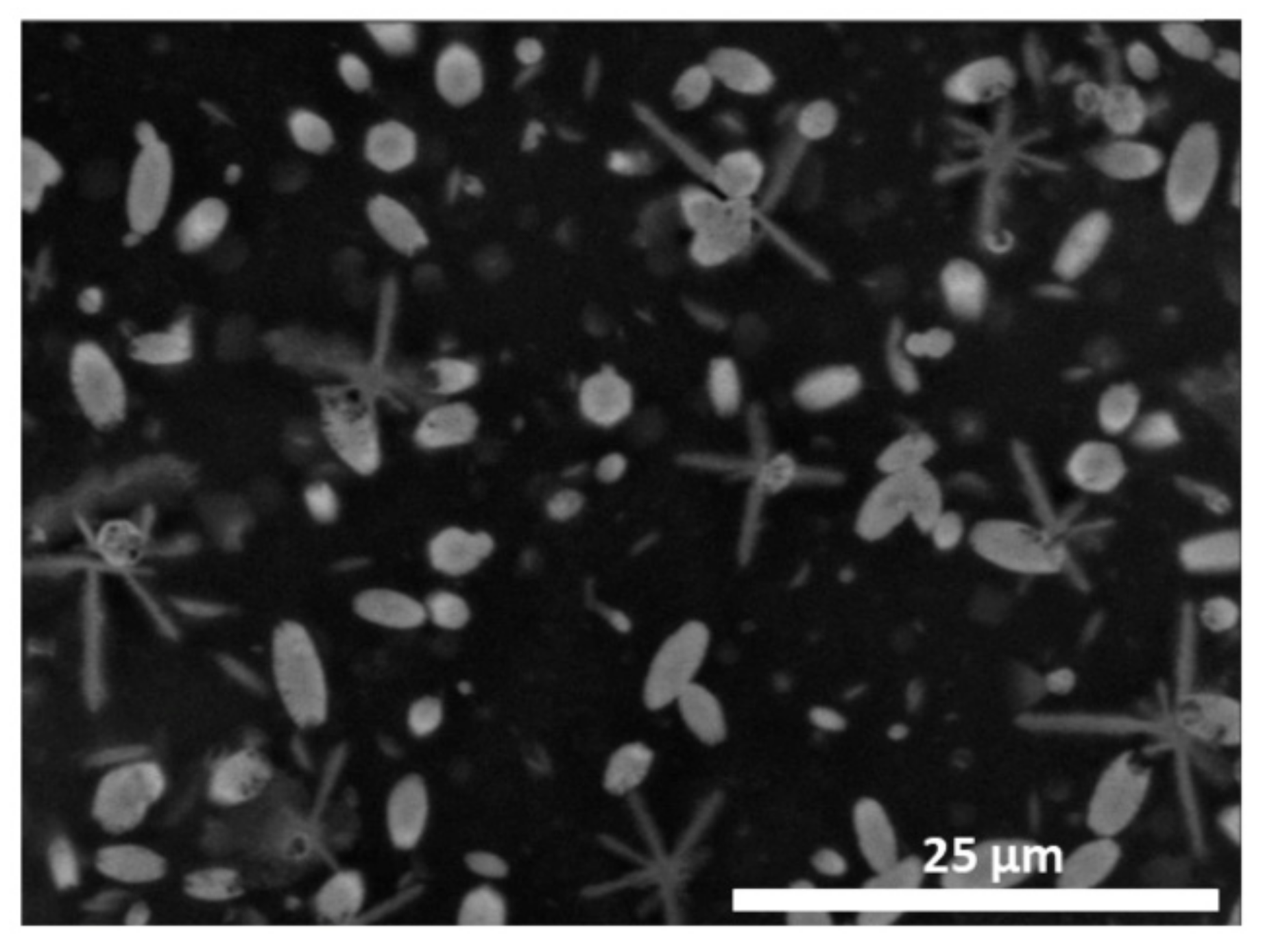 Materials 13 04856 g0a6