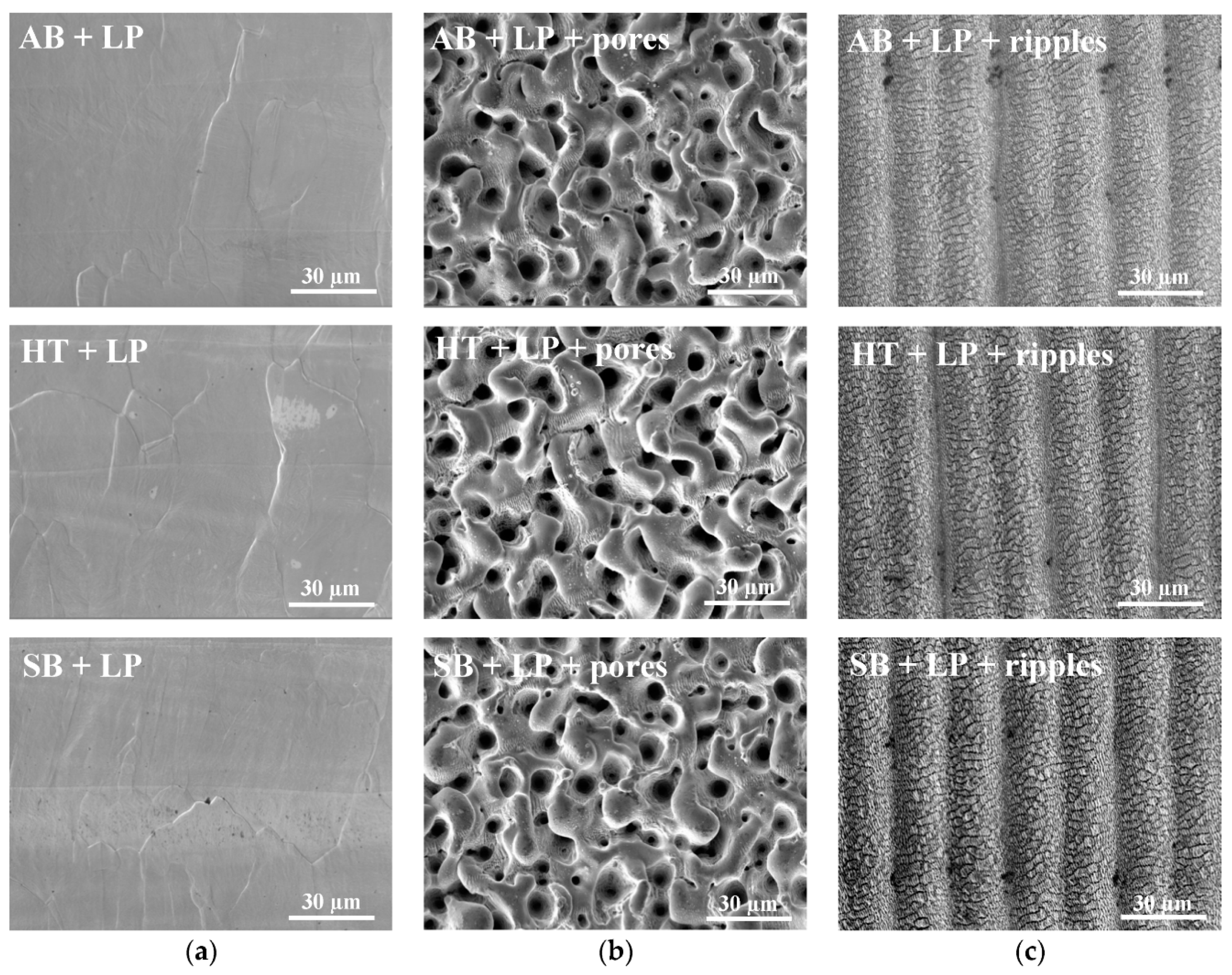 Materials 13 04872 g004