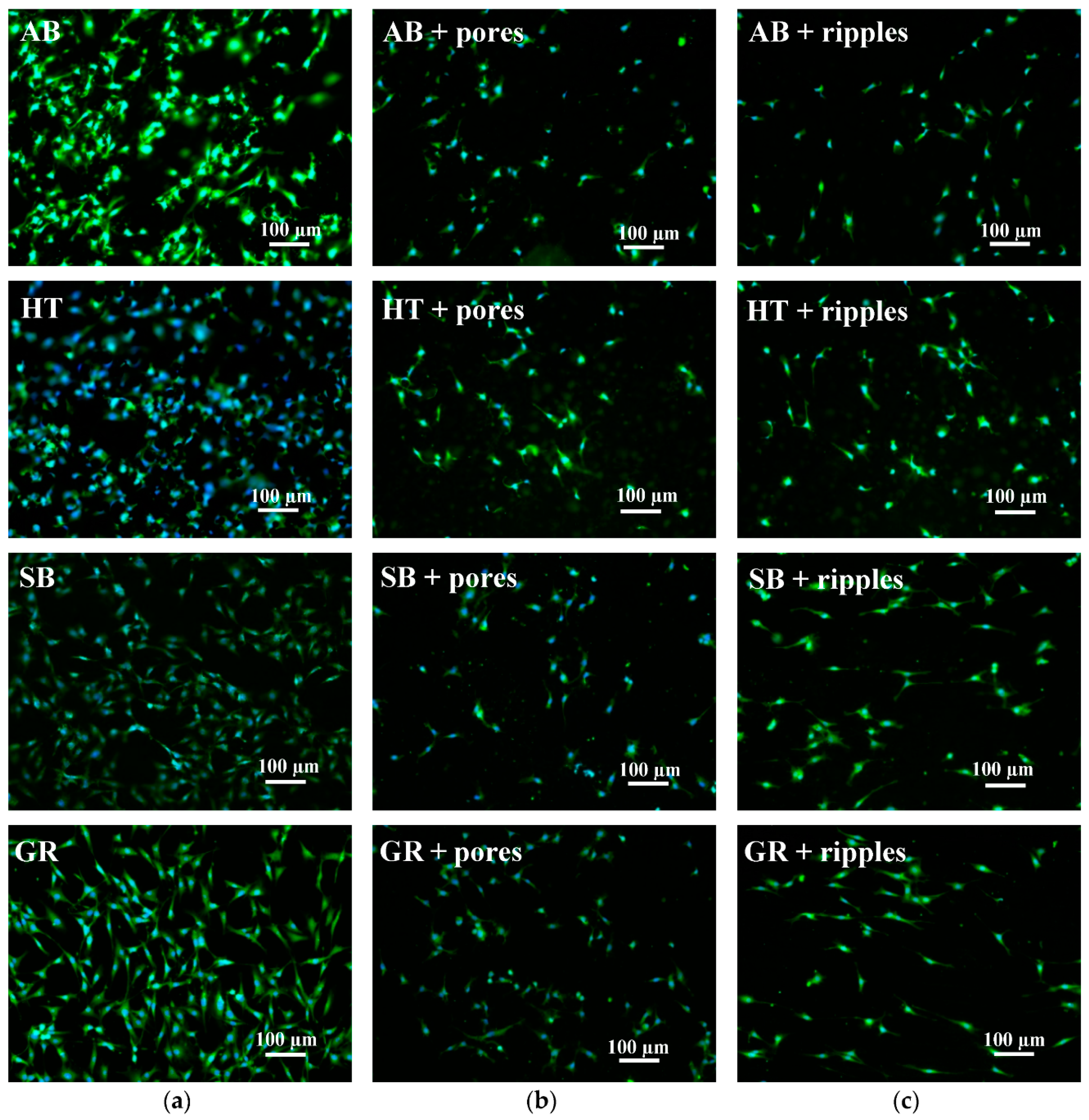 Materials 13 04872 g011