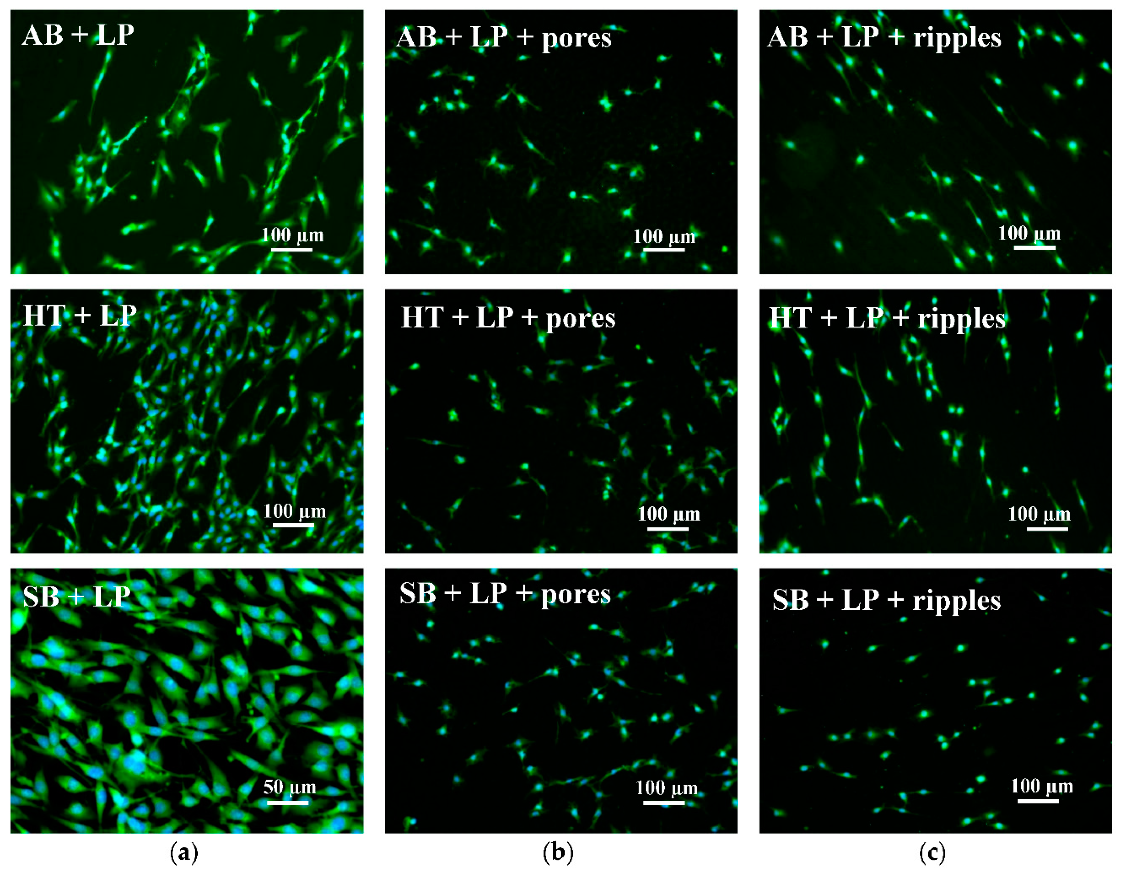 Materials 13 04872 g012