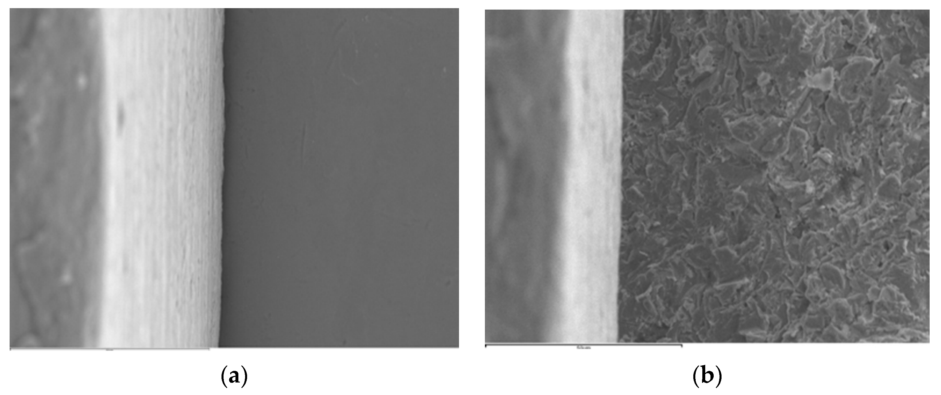 Materials 13 04873 g001