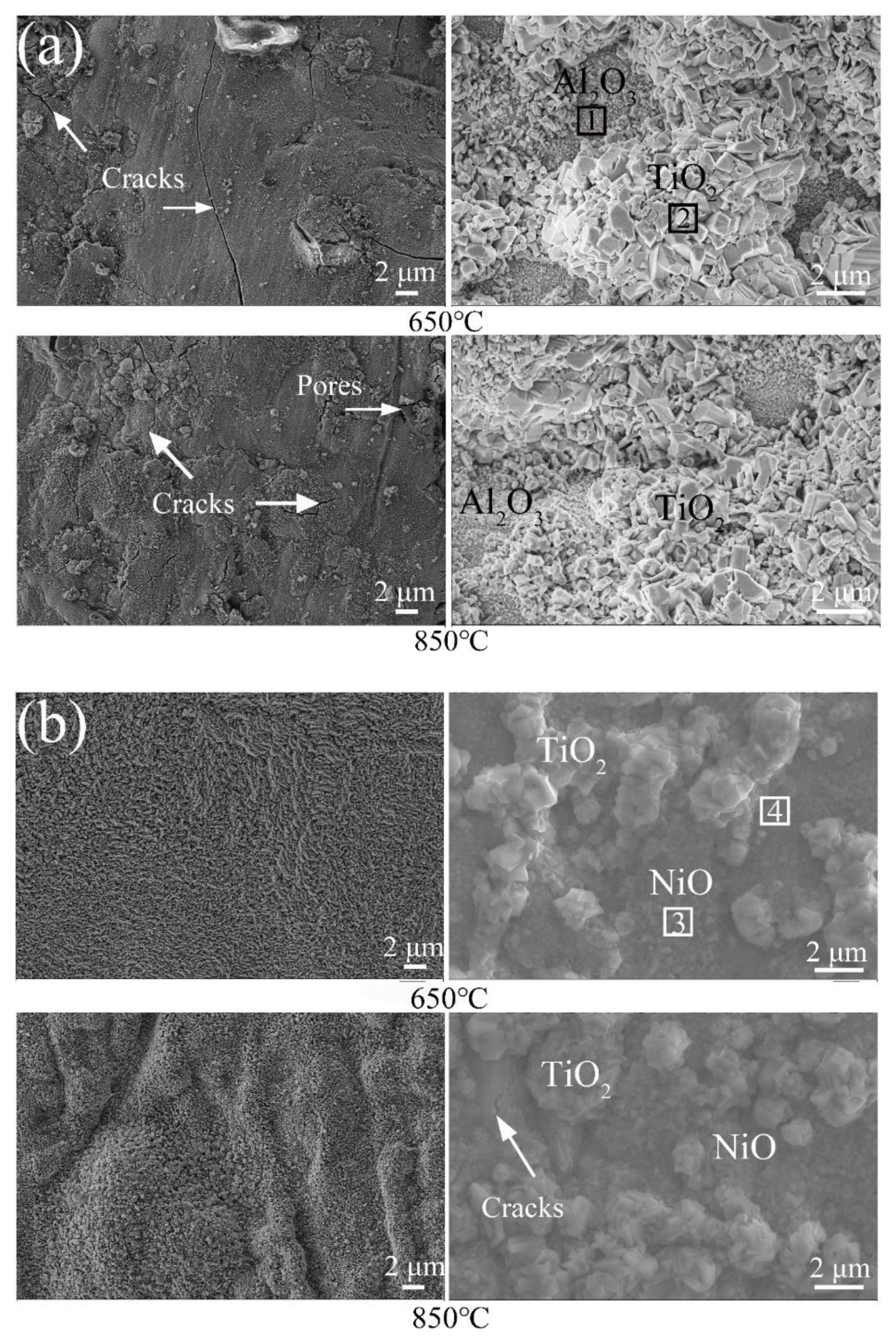 Materials 13 04882 g010