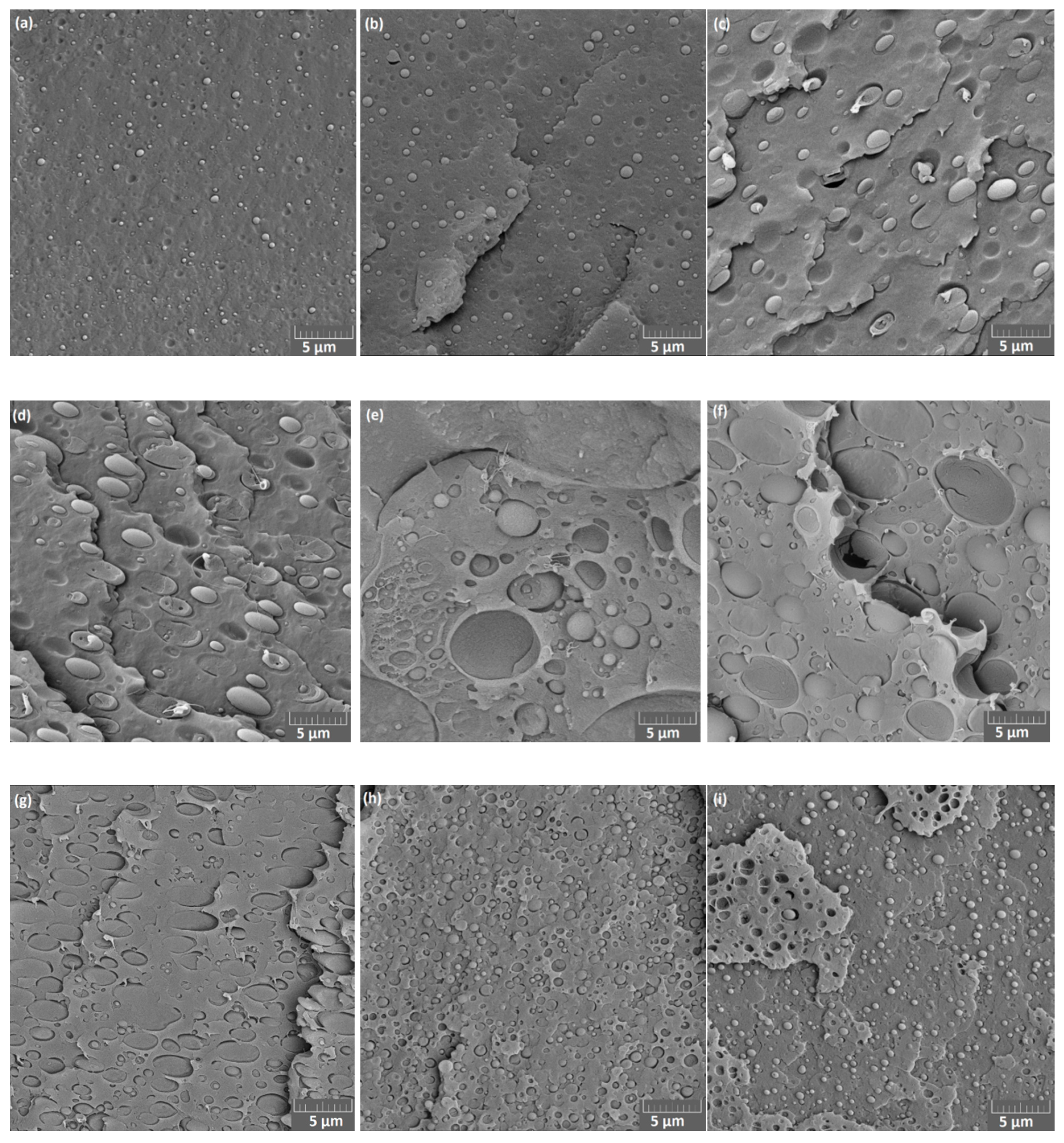 Materials 13 04897 g006