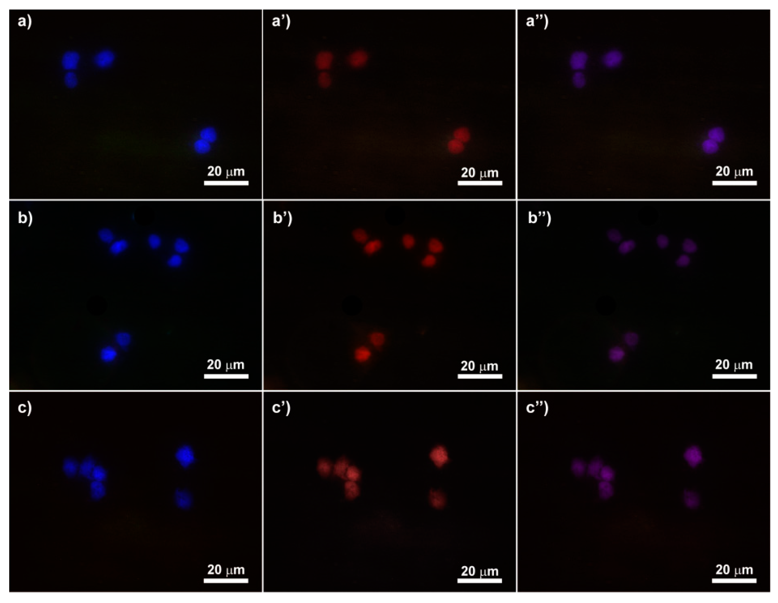 Materials 13 04899 g006