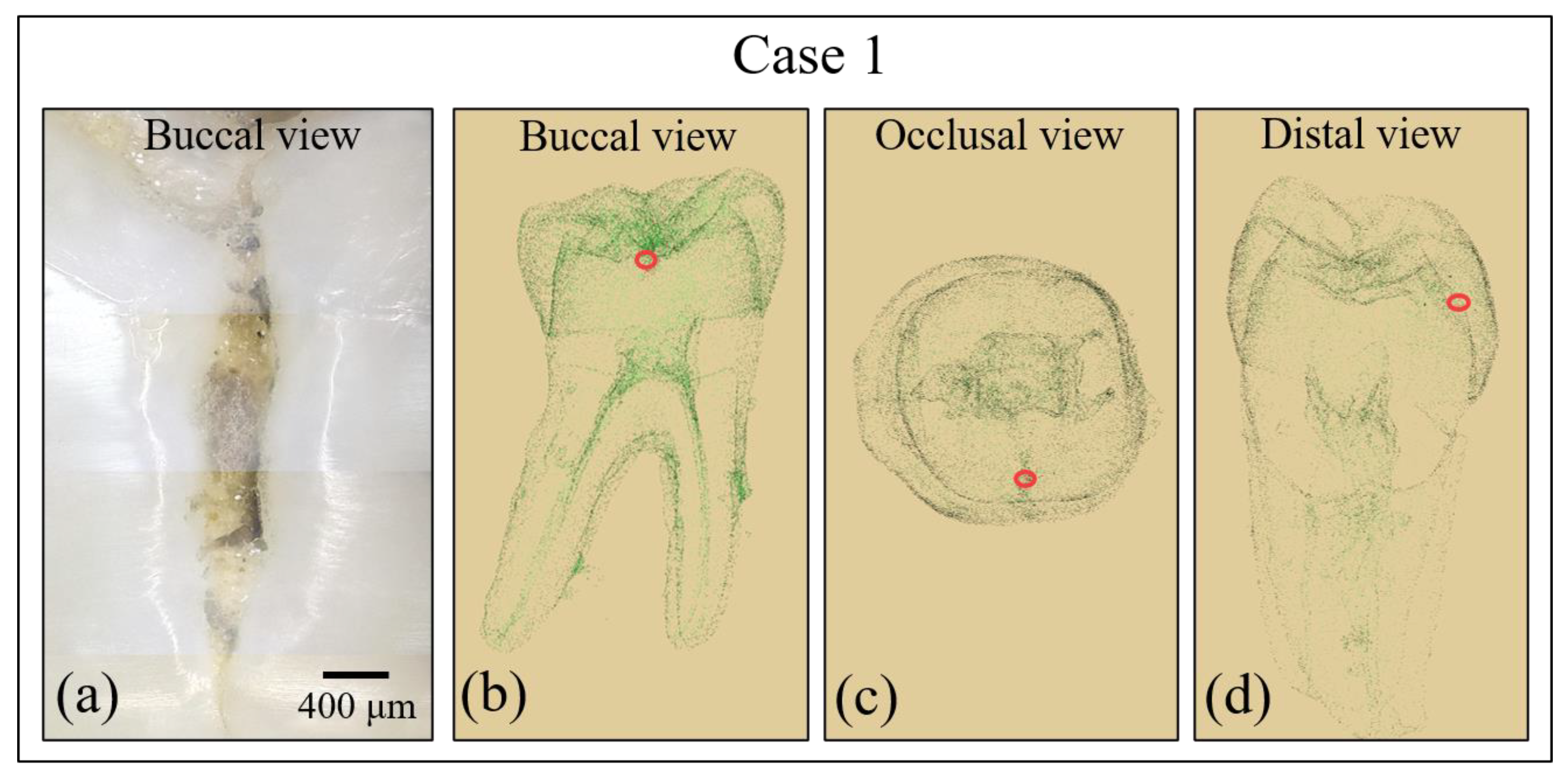 Materials 13 04900 g002