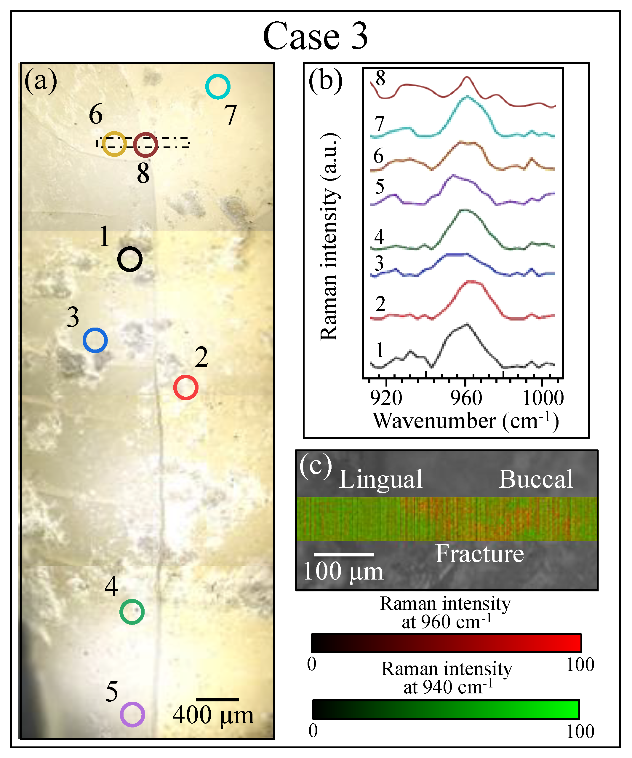 Materials 13 04900 g010