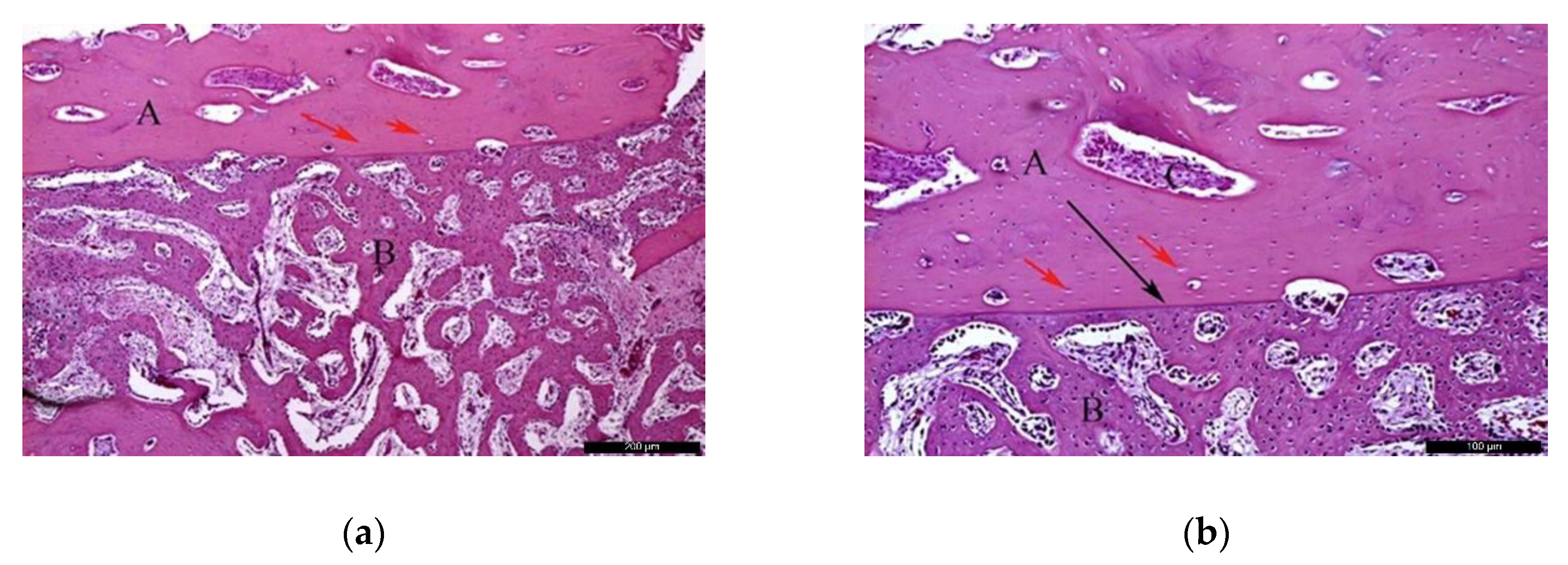 Materials 13 04902 g004