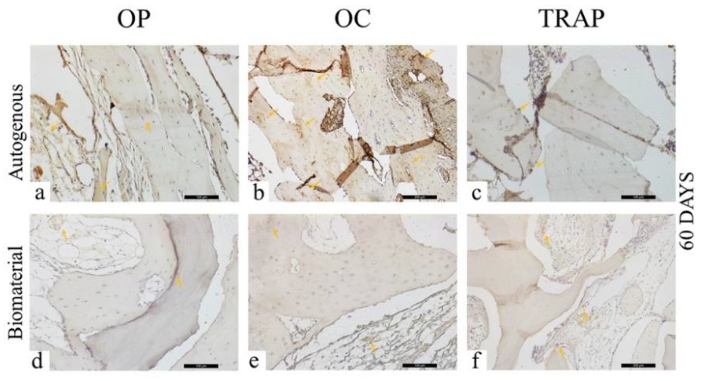 Materials 13 04902 g008