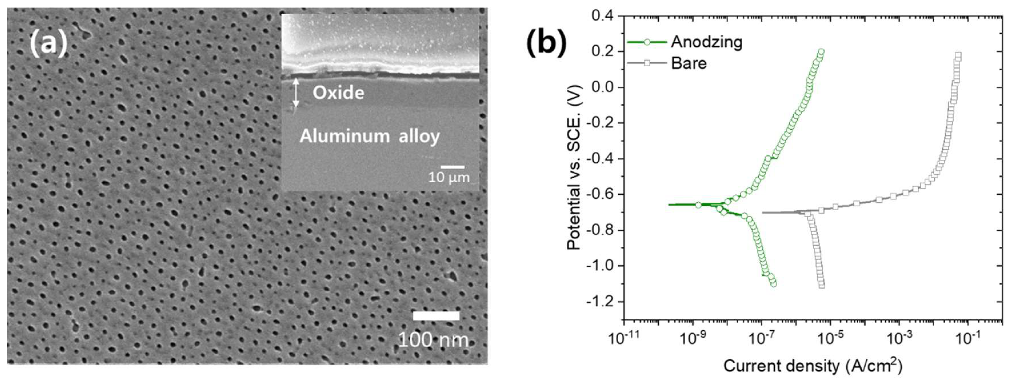 Materials 13 04904 g001