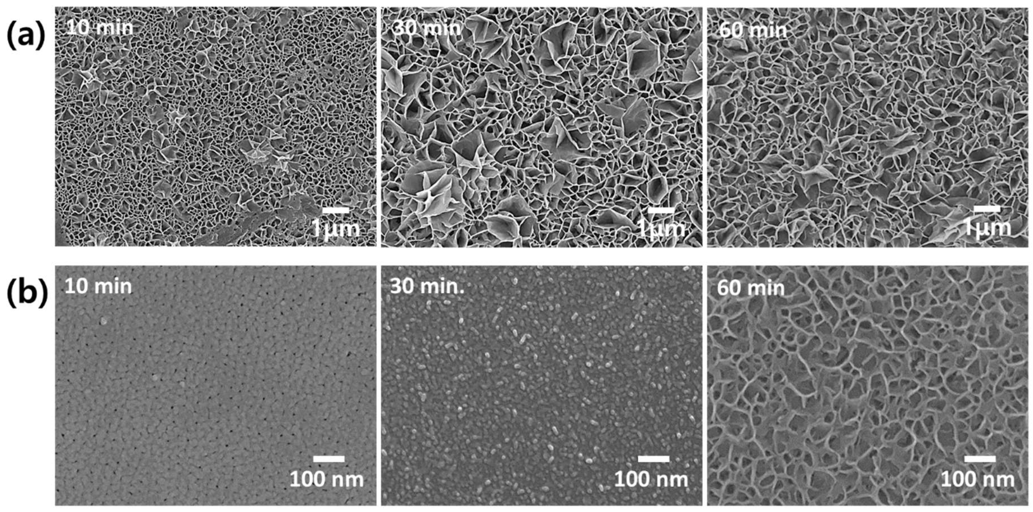 Materials 13 04904 g002