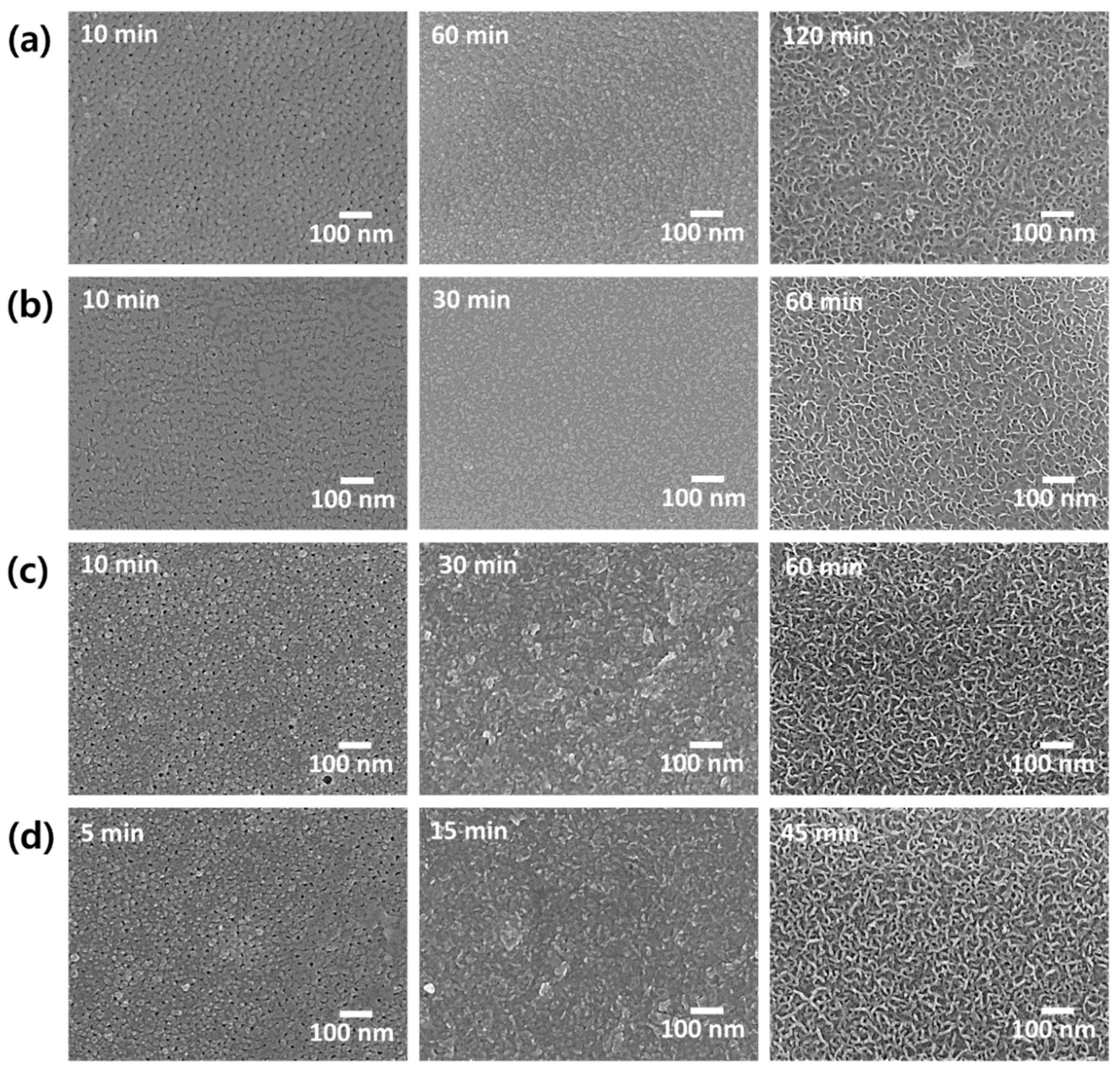 Materials 13 04904 g005