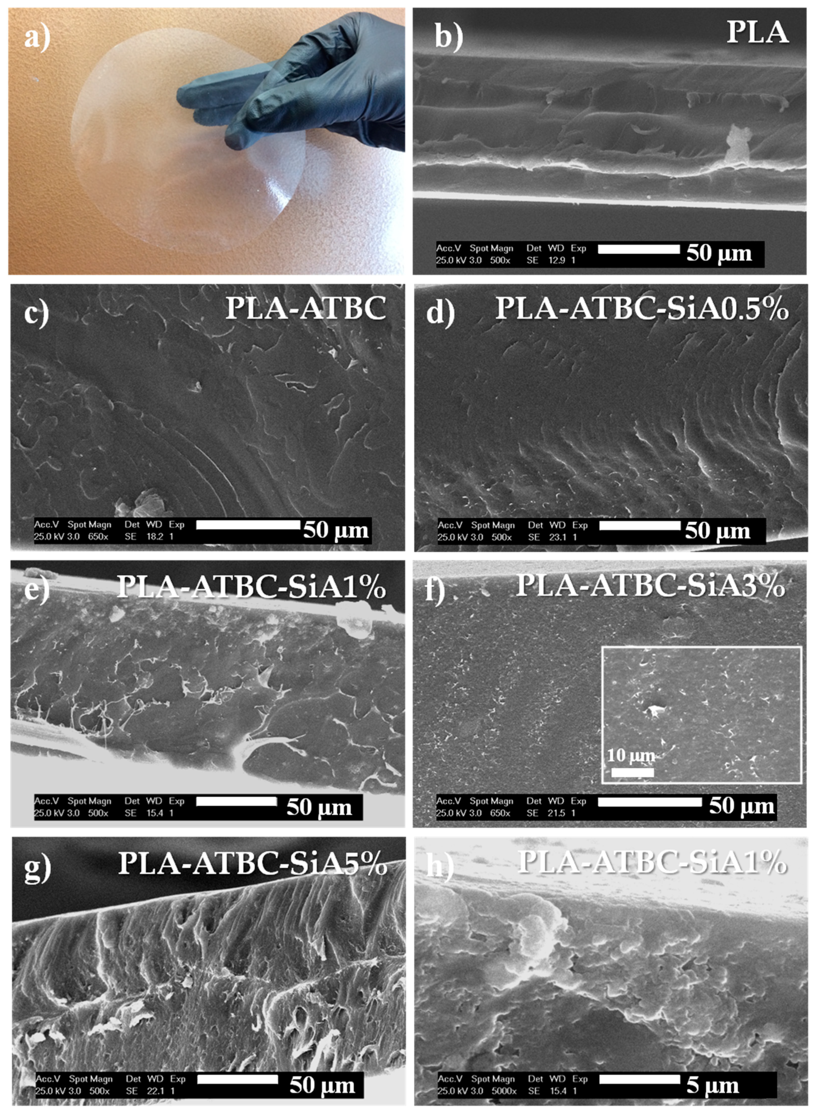 Materials 13 04910 g001