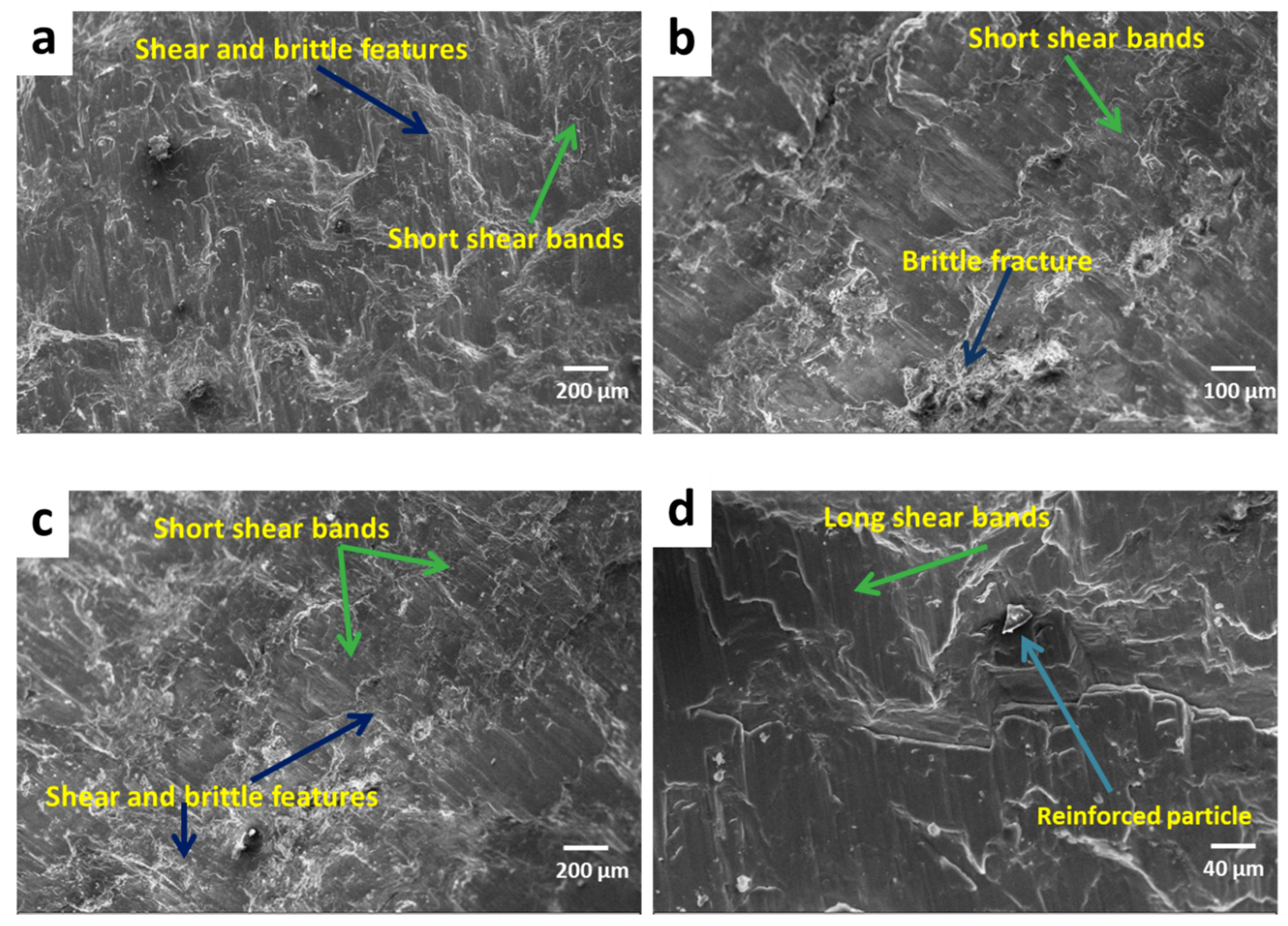 Materials 13 04913 g012