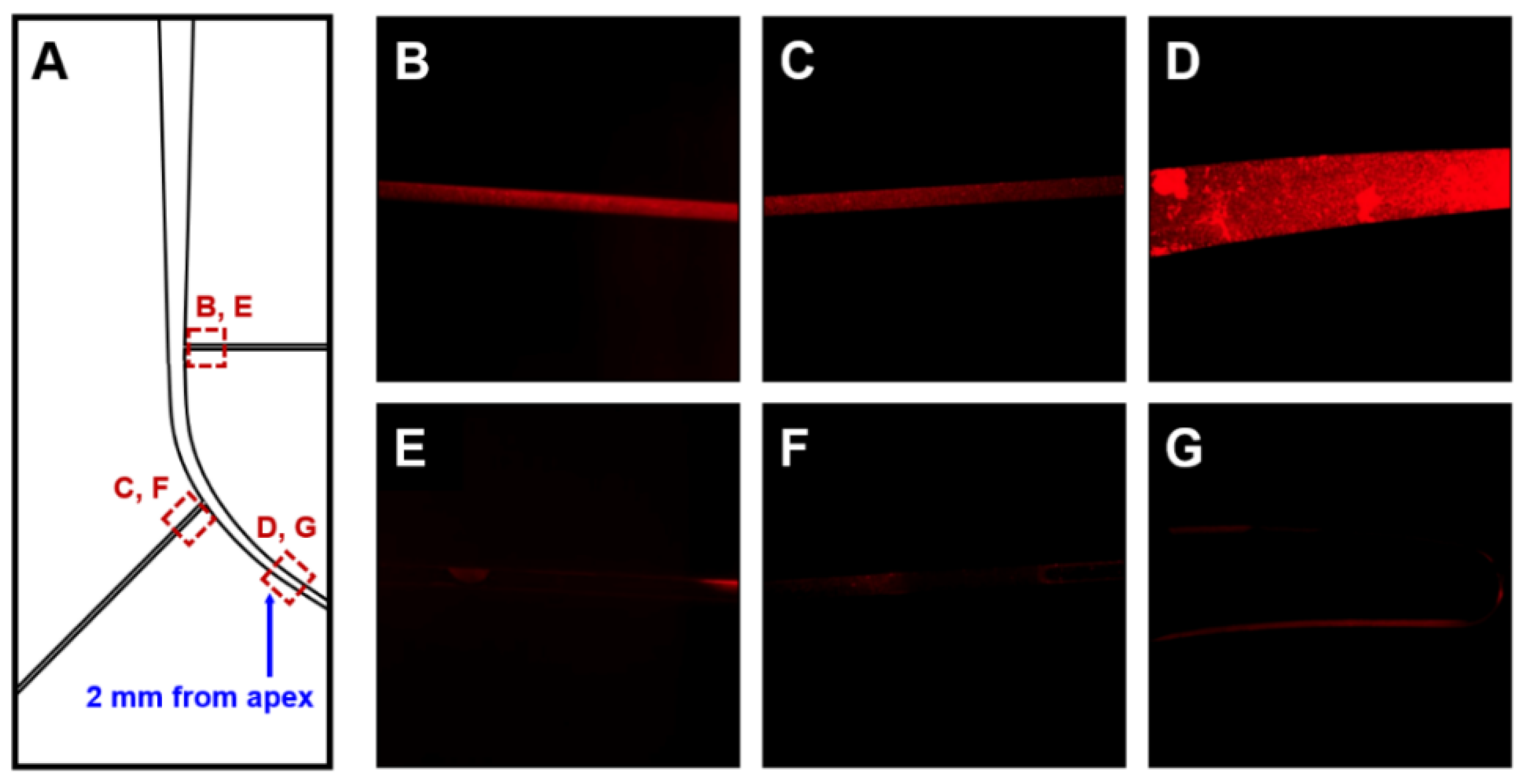 Materials 13 04914 g003