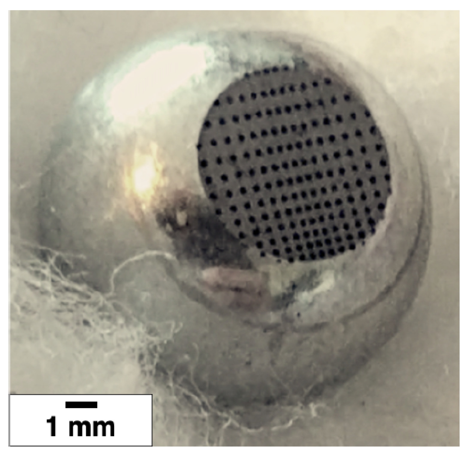 Materials 13 04915 g002