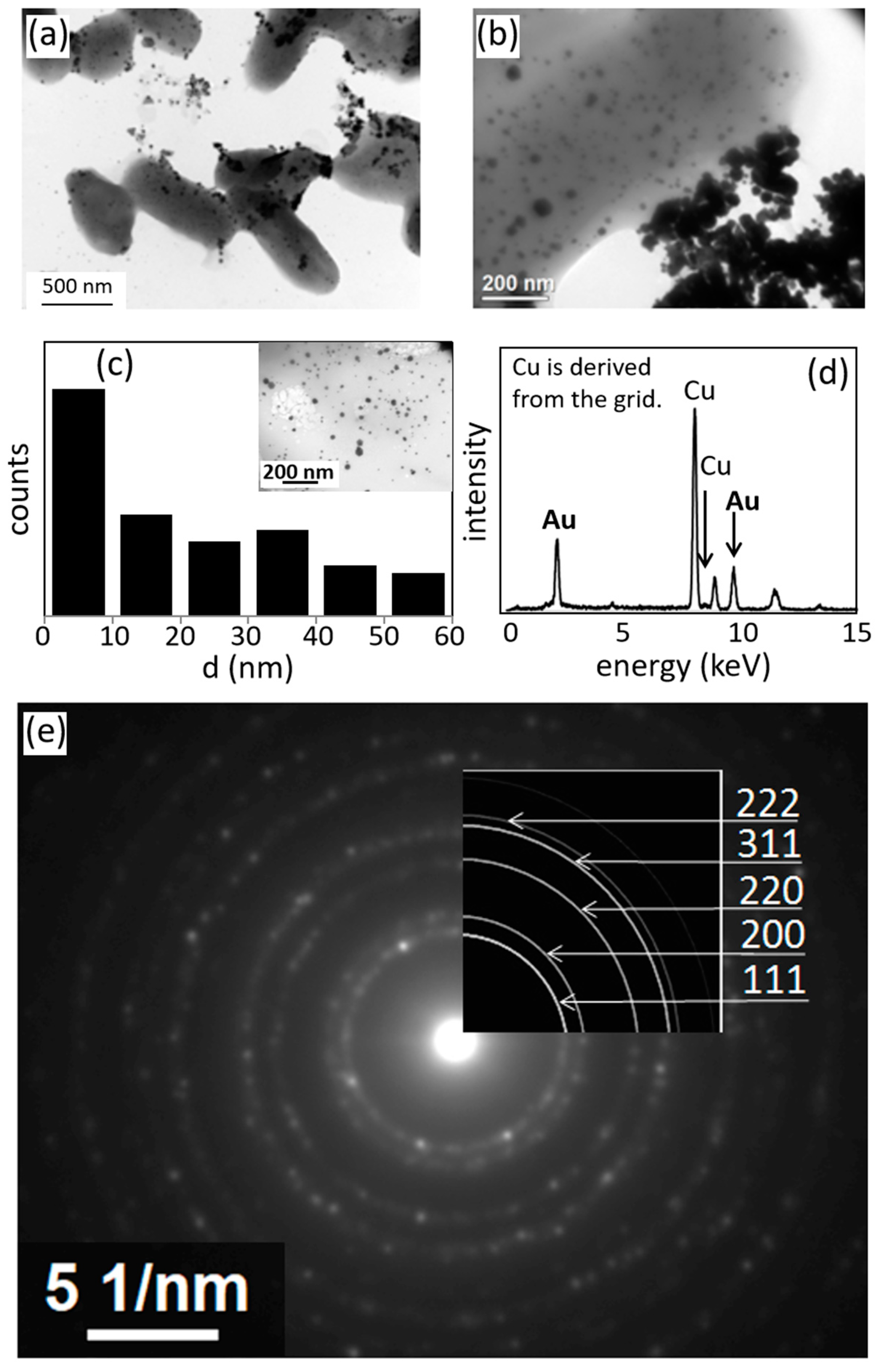 Materials 13 04922 g004