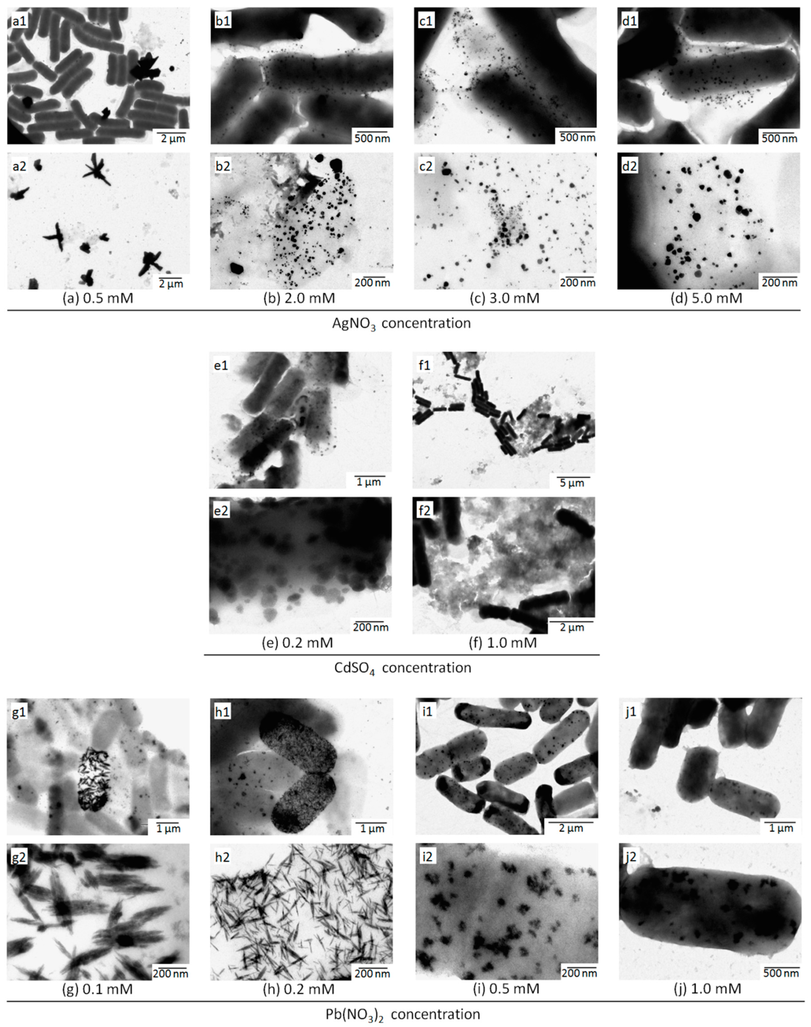 Materials 13 04922 g006