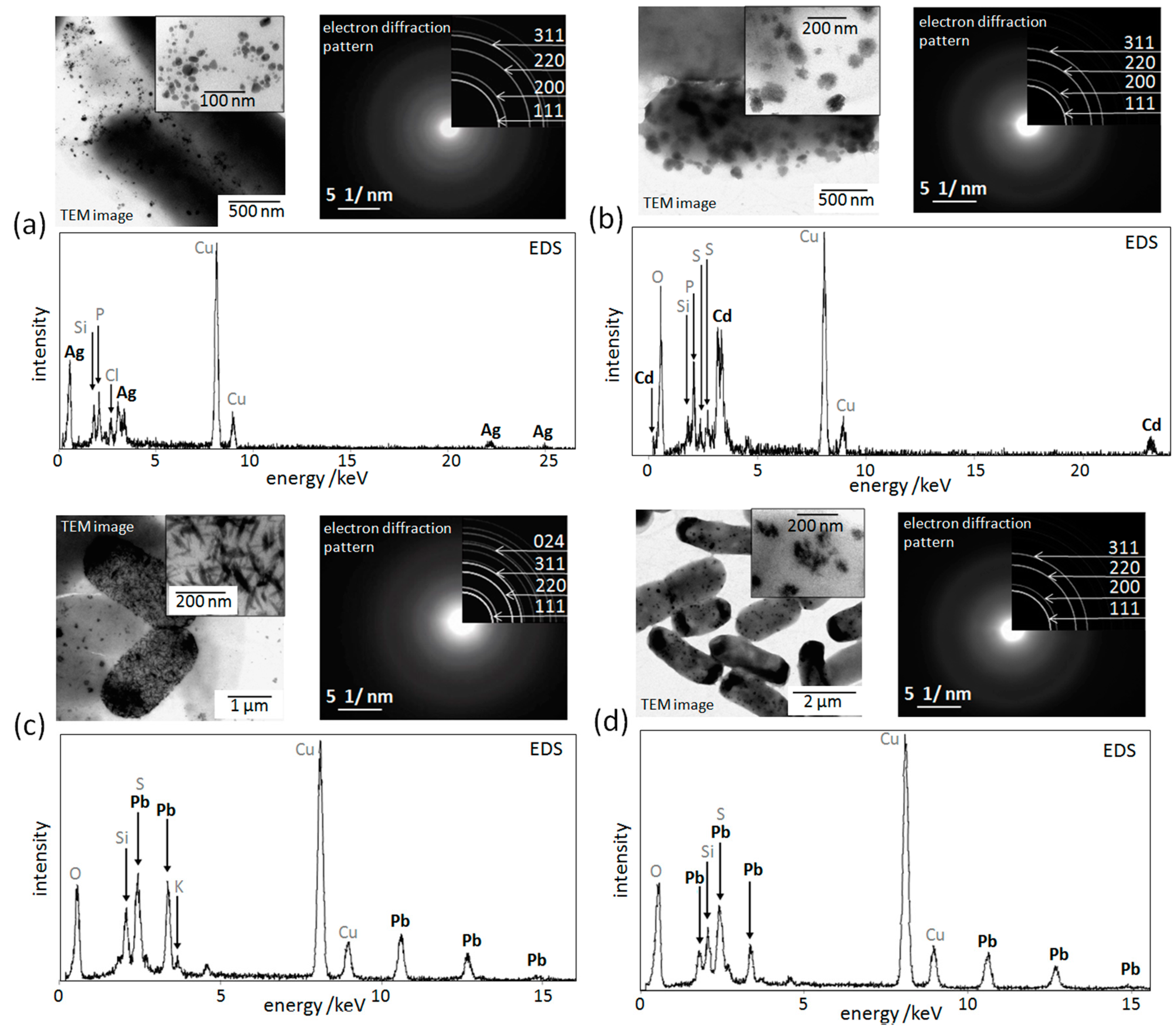 Materials 13 04922 g007