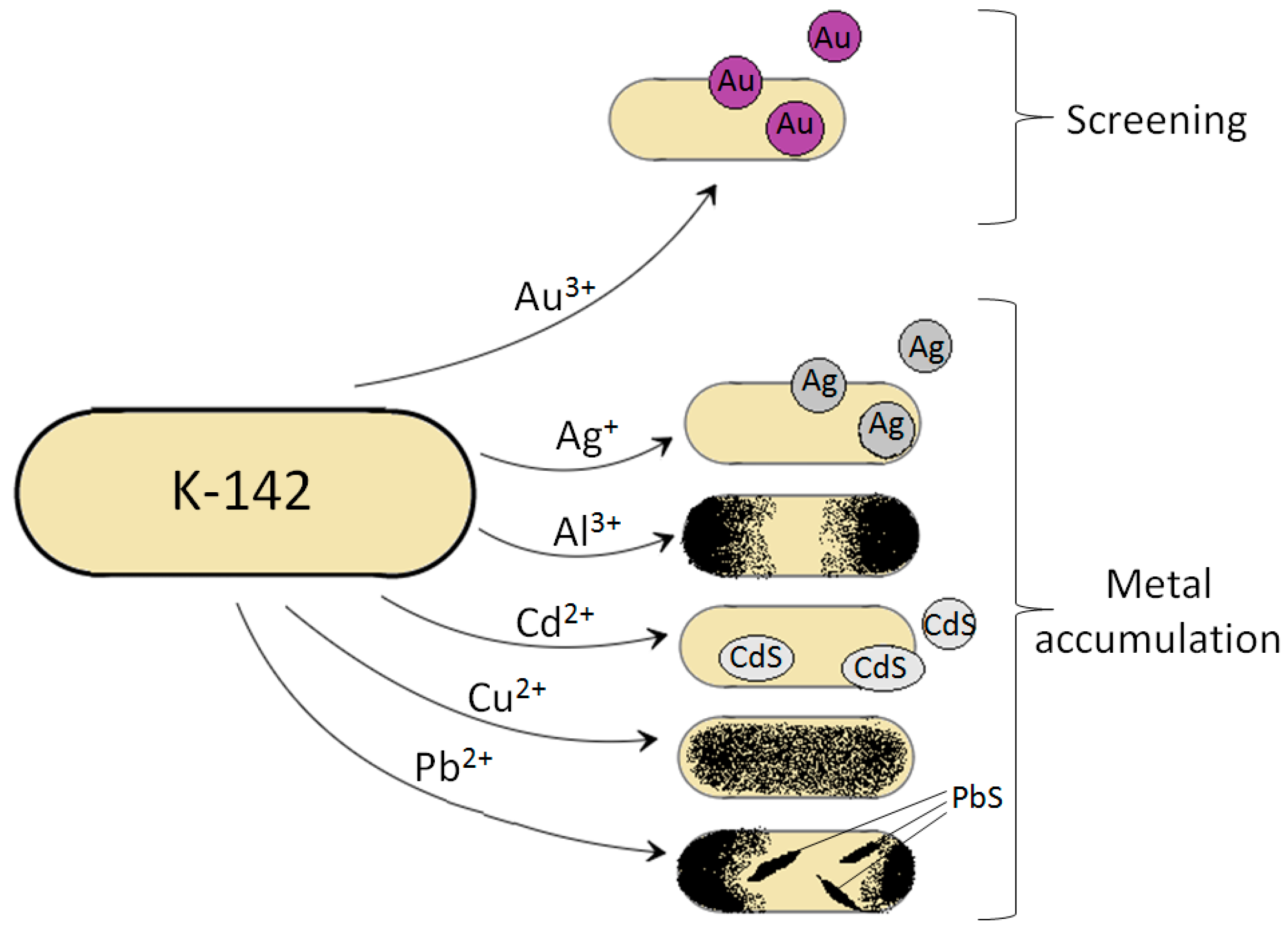 Materials 13 04922 g009