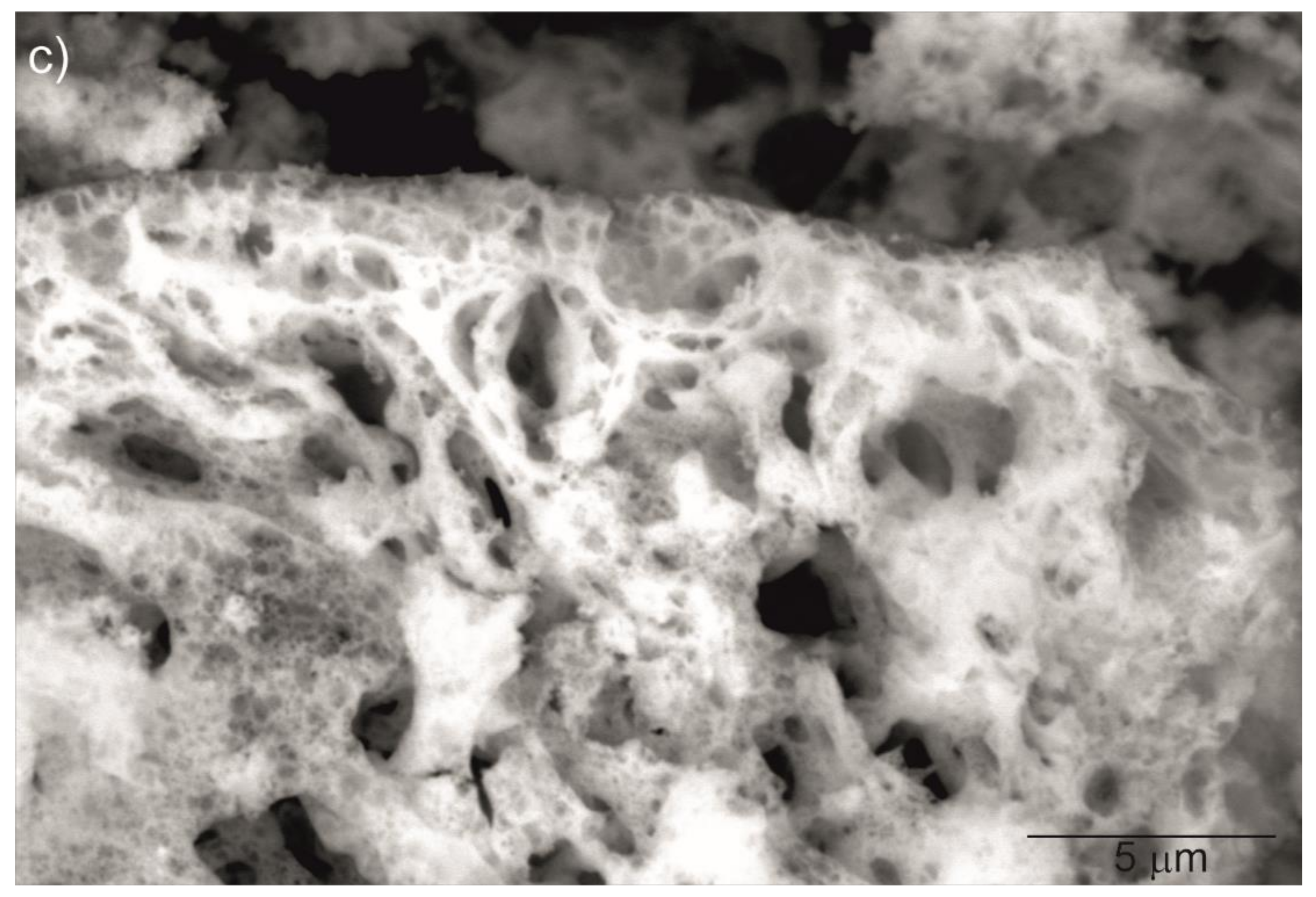 Materials 13 04928 g002b