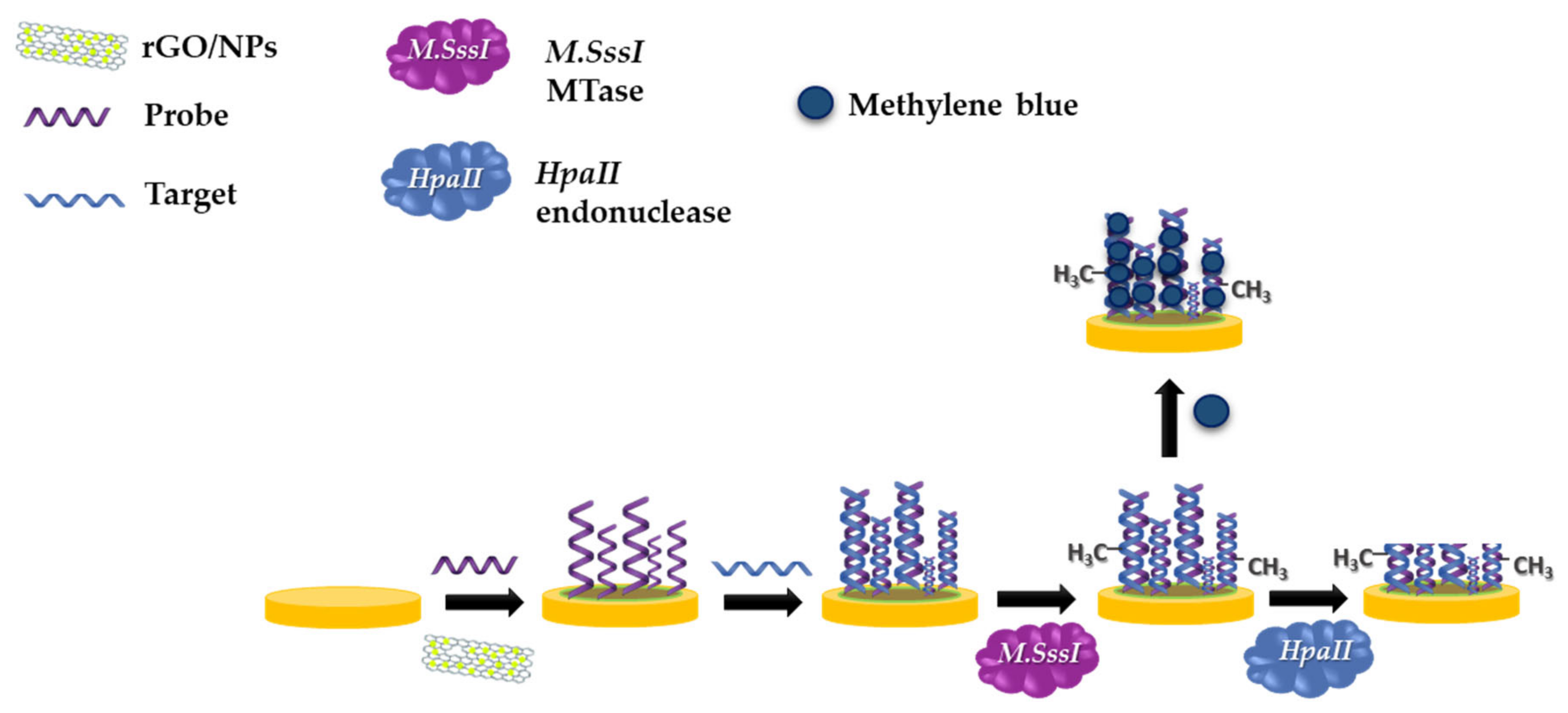 Materials 13 04936 g001