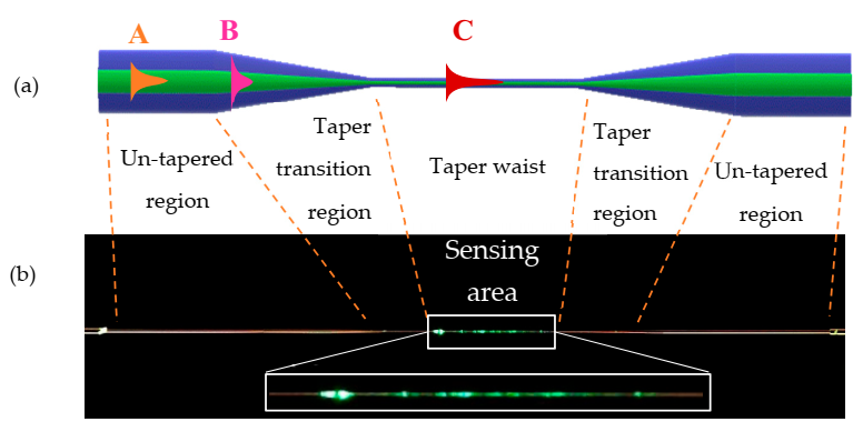 Materials 13 04942 g001