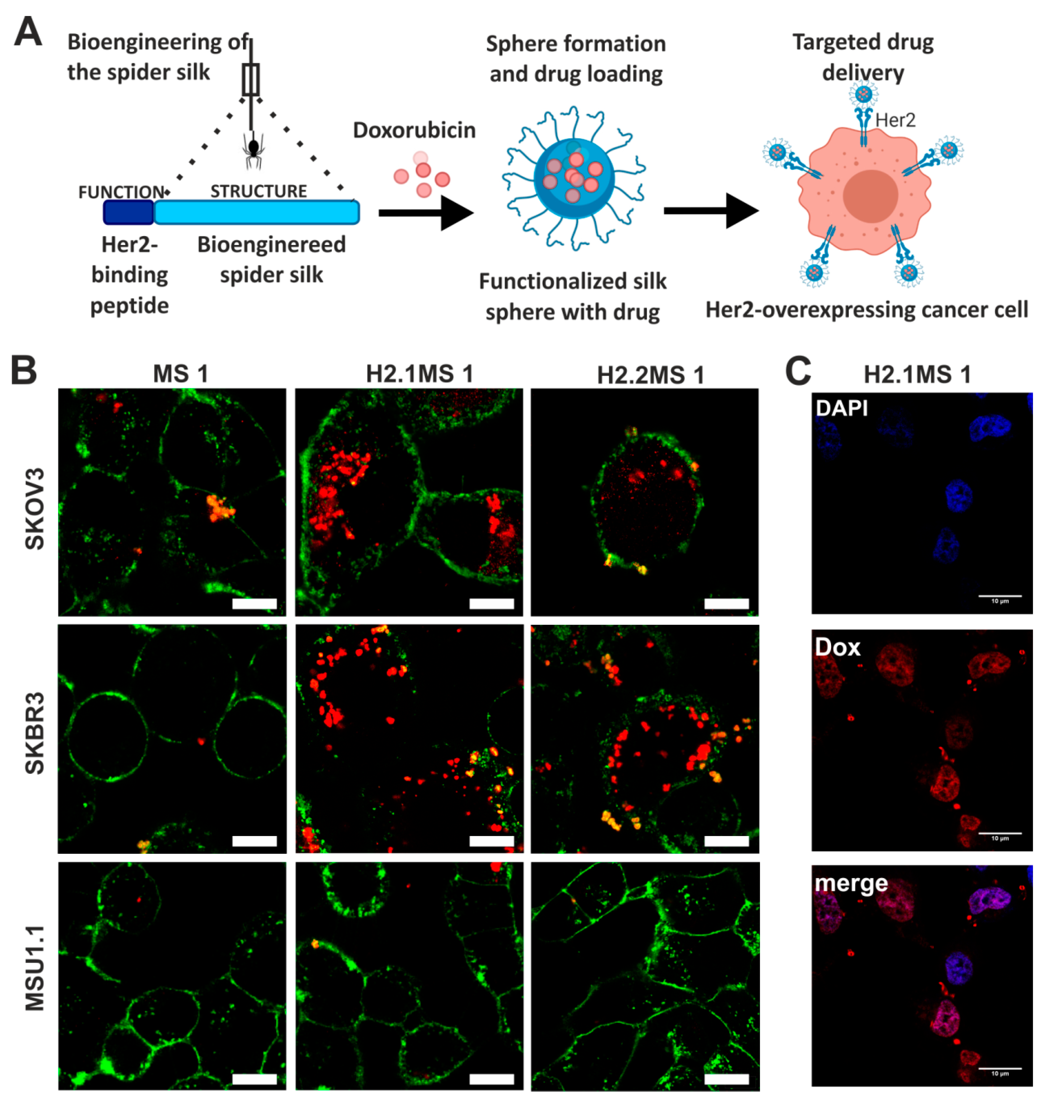 Materials 13 04946 g004