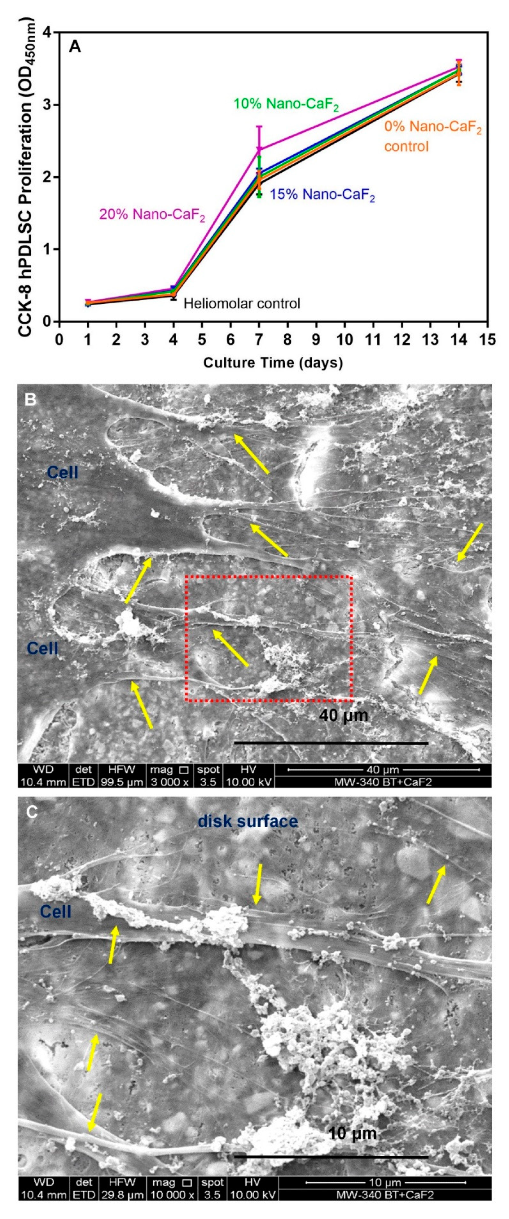 Materials 13 04951 g003