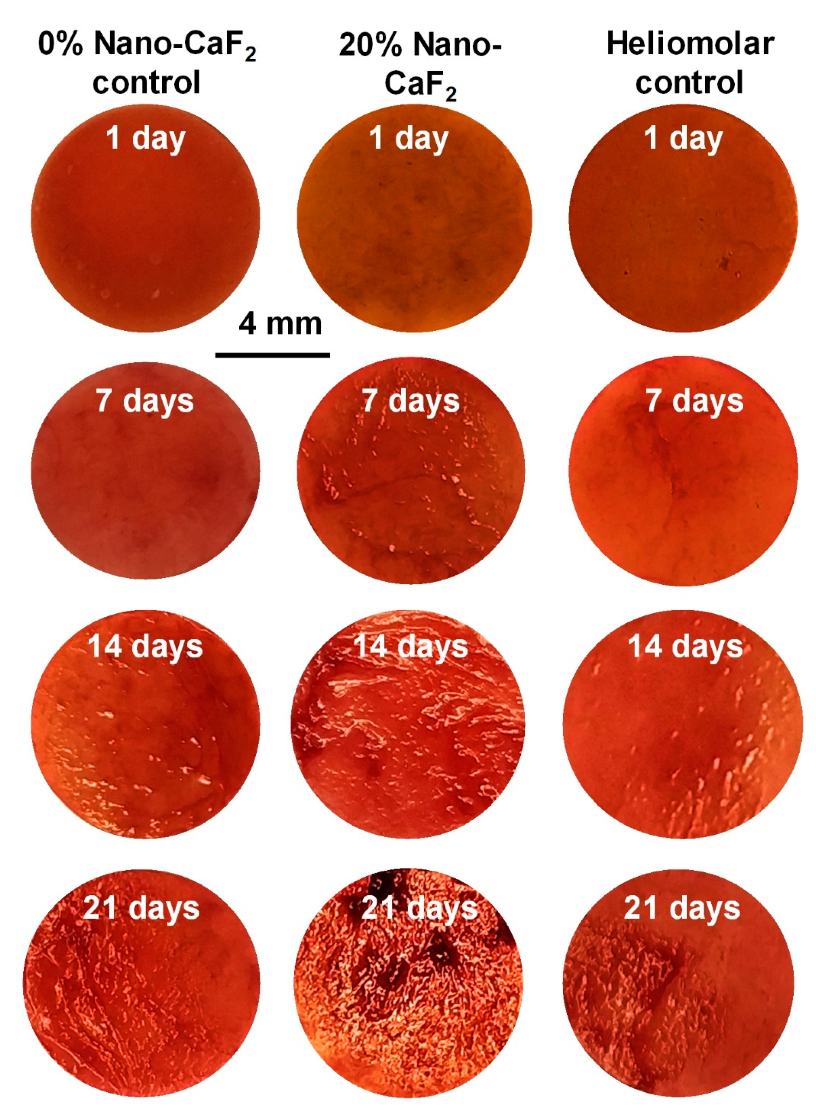 Materials 13 04951 g008