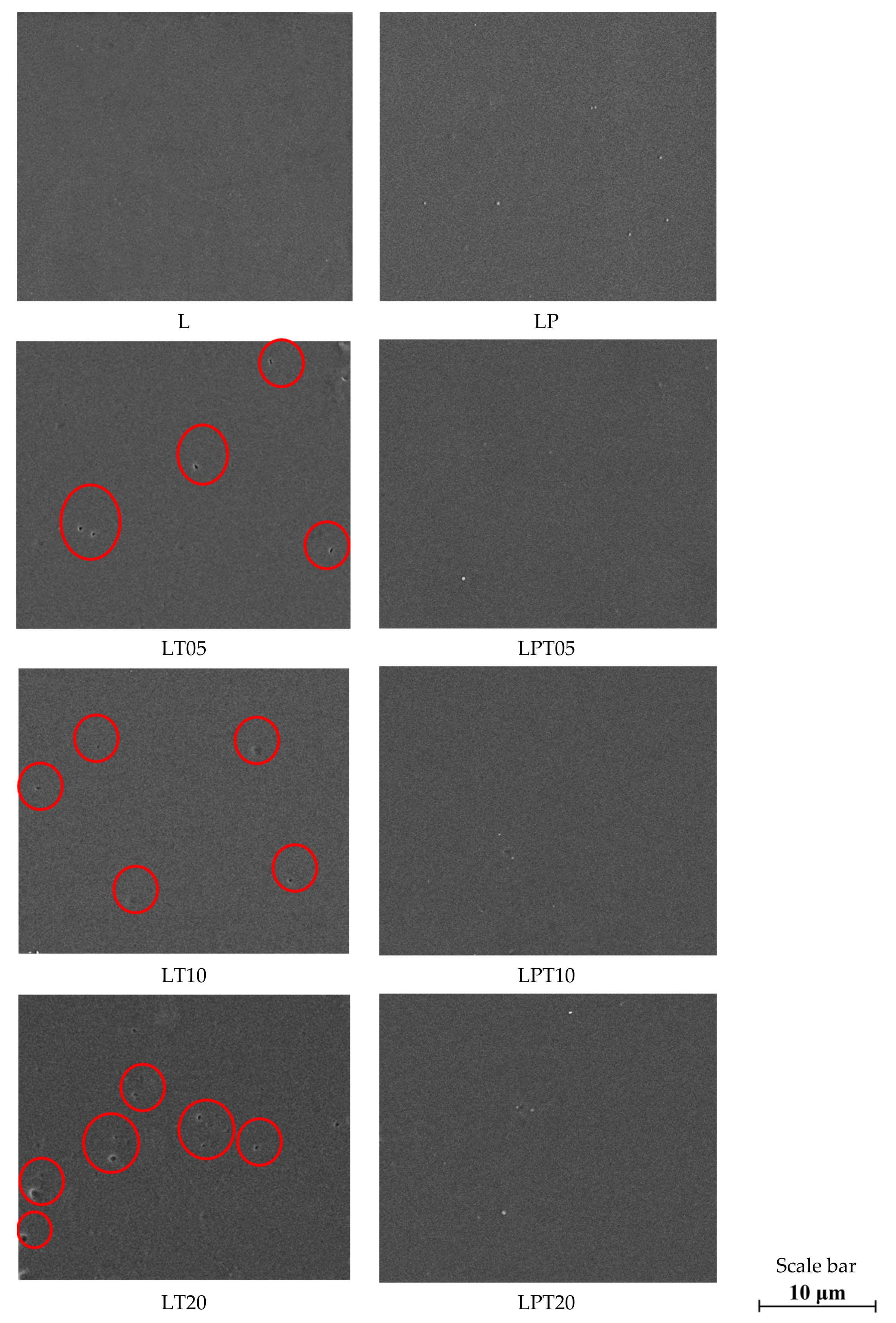 Materials 13 04953 g001