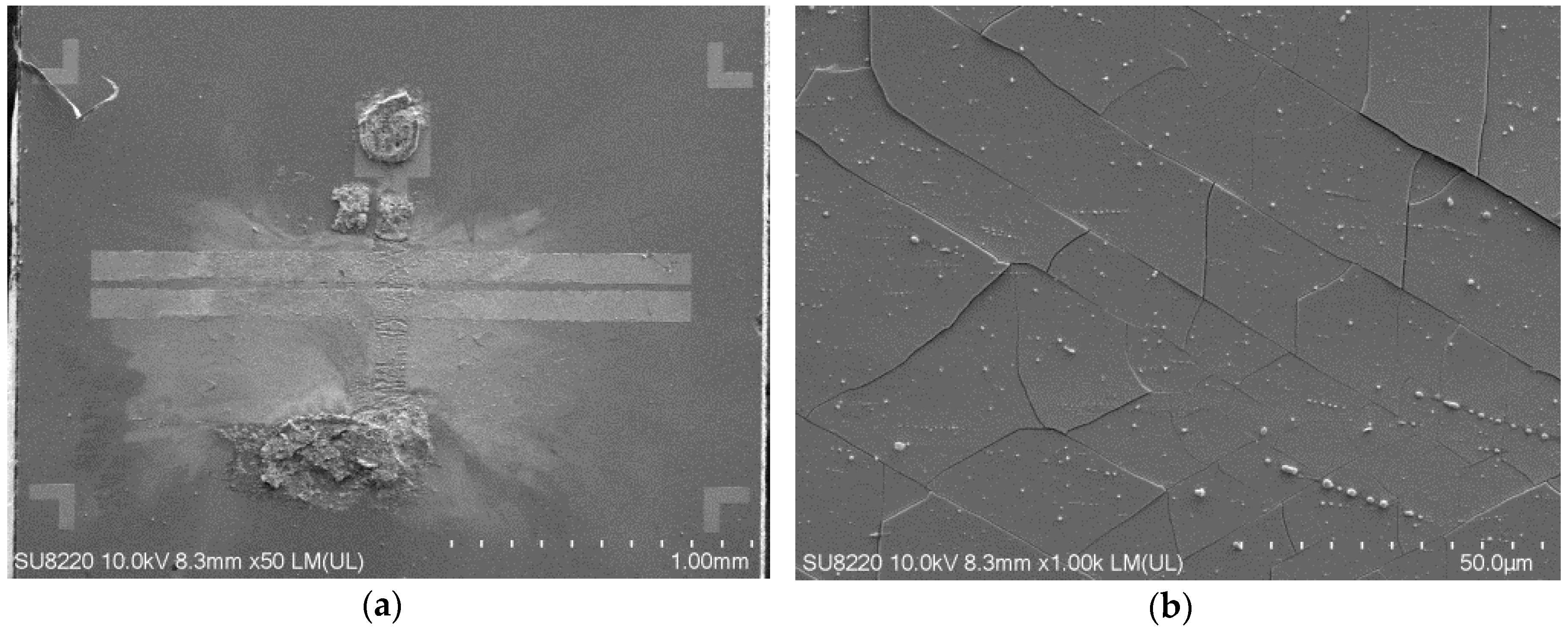 Materials 13 04956 g006