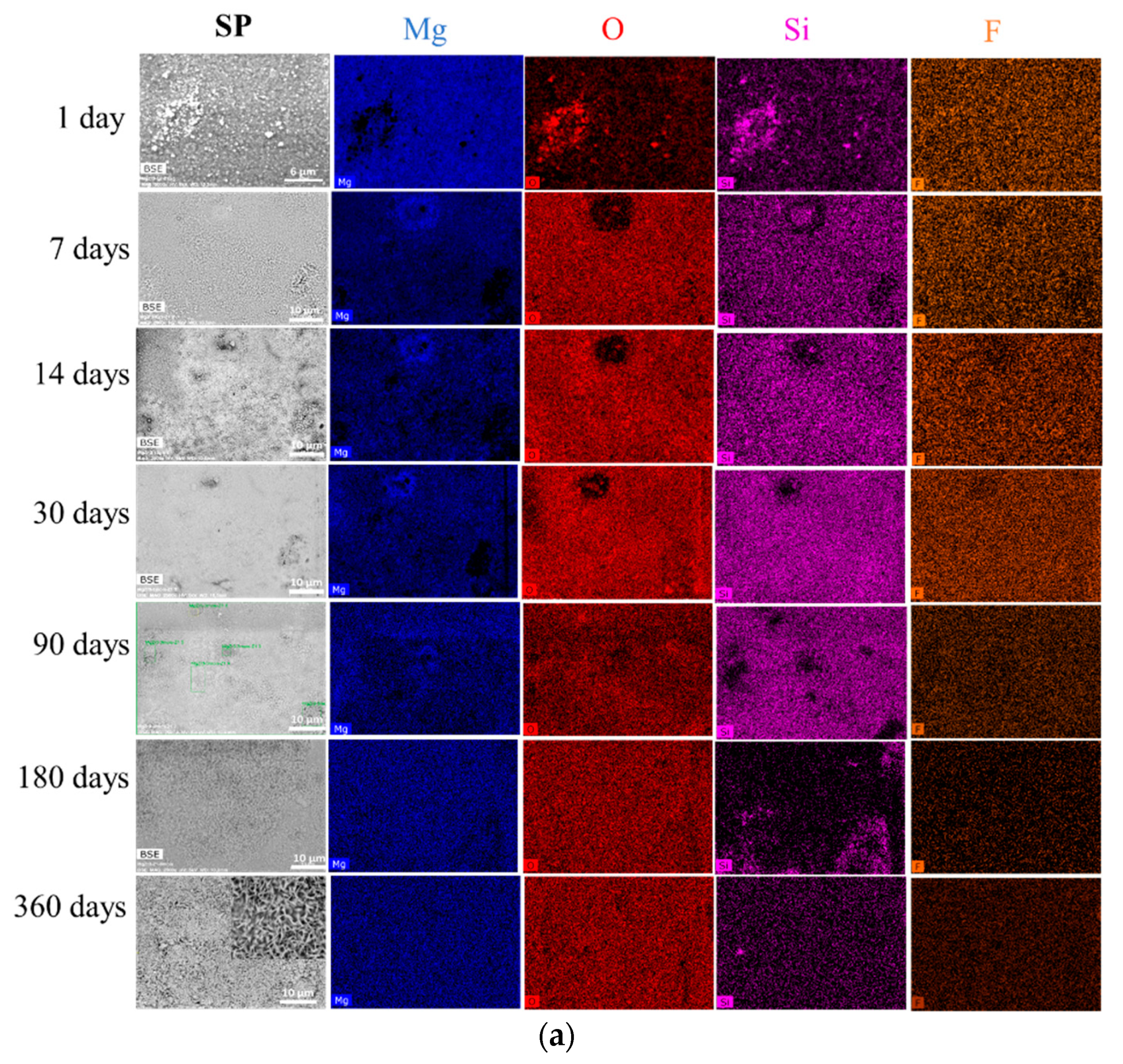 Materials 13 04958 g002a
