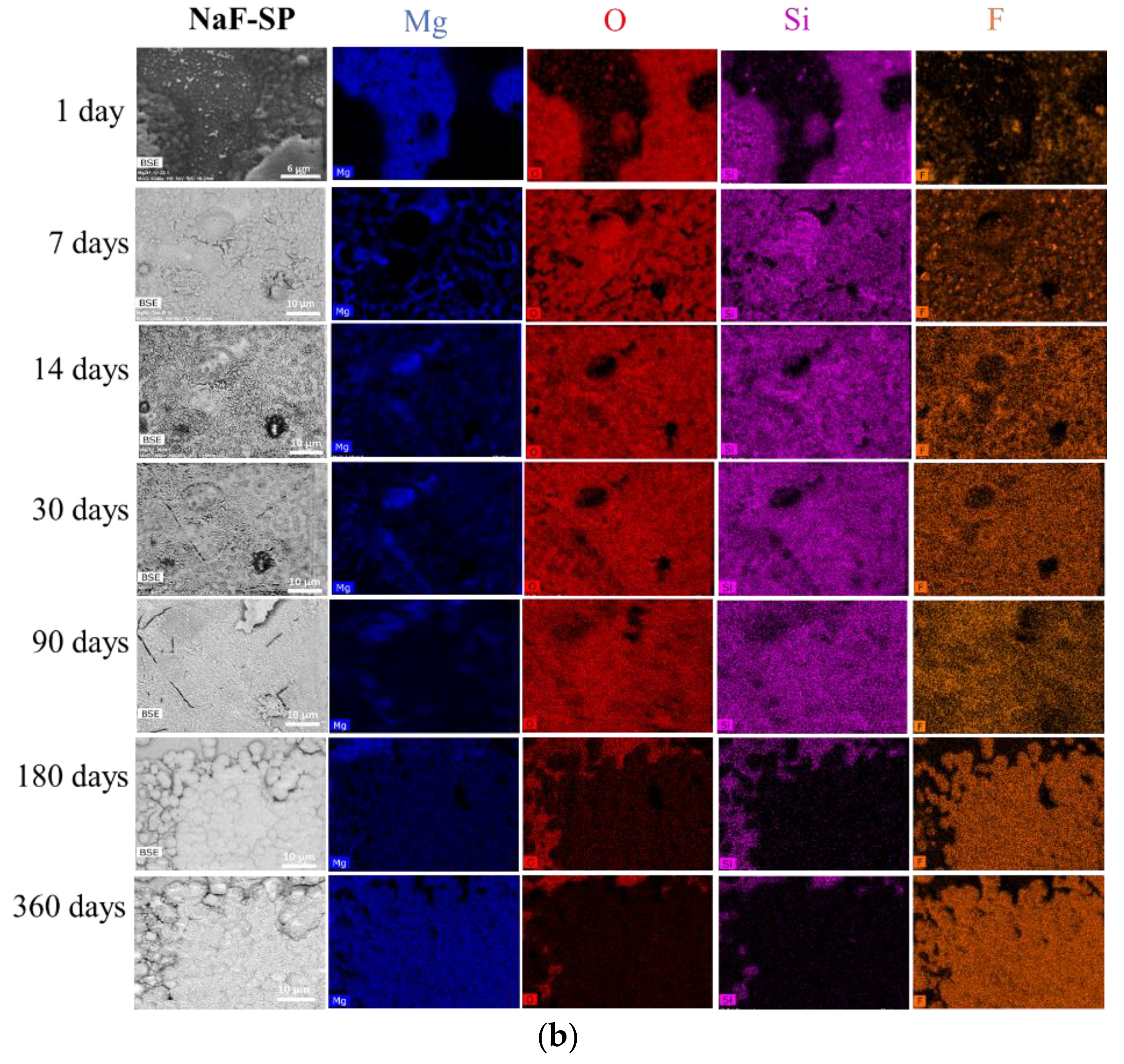Materials 13 04958 g002b