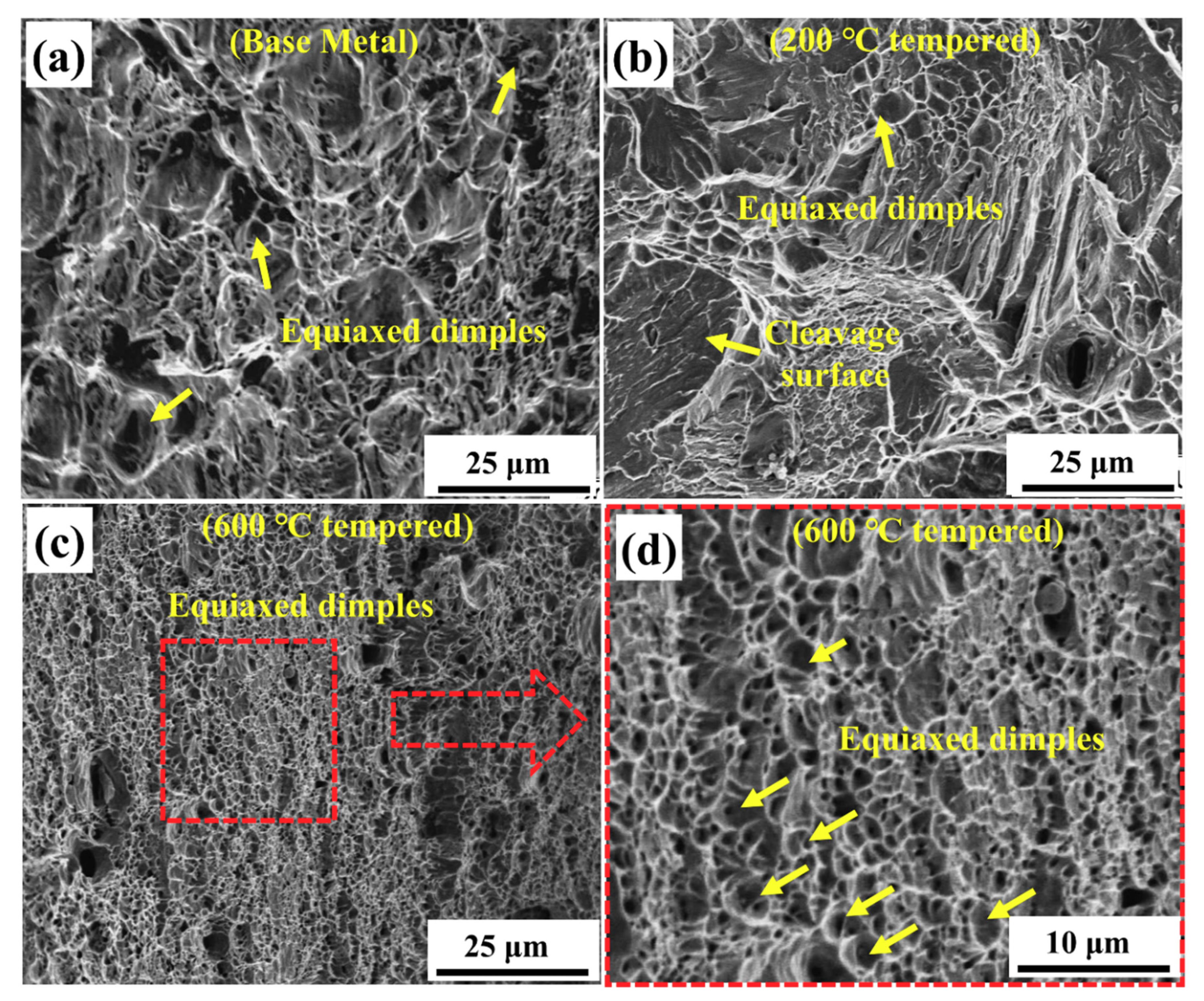 Materials 13 04981 g004