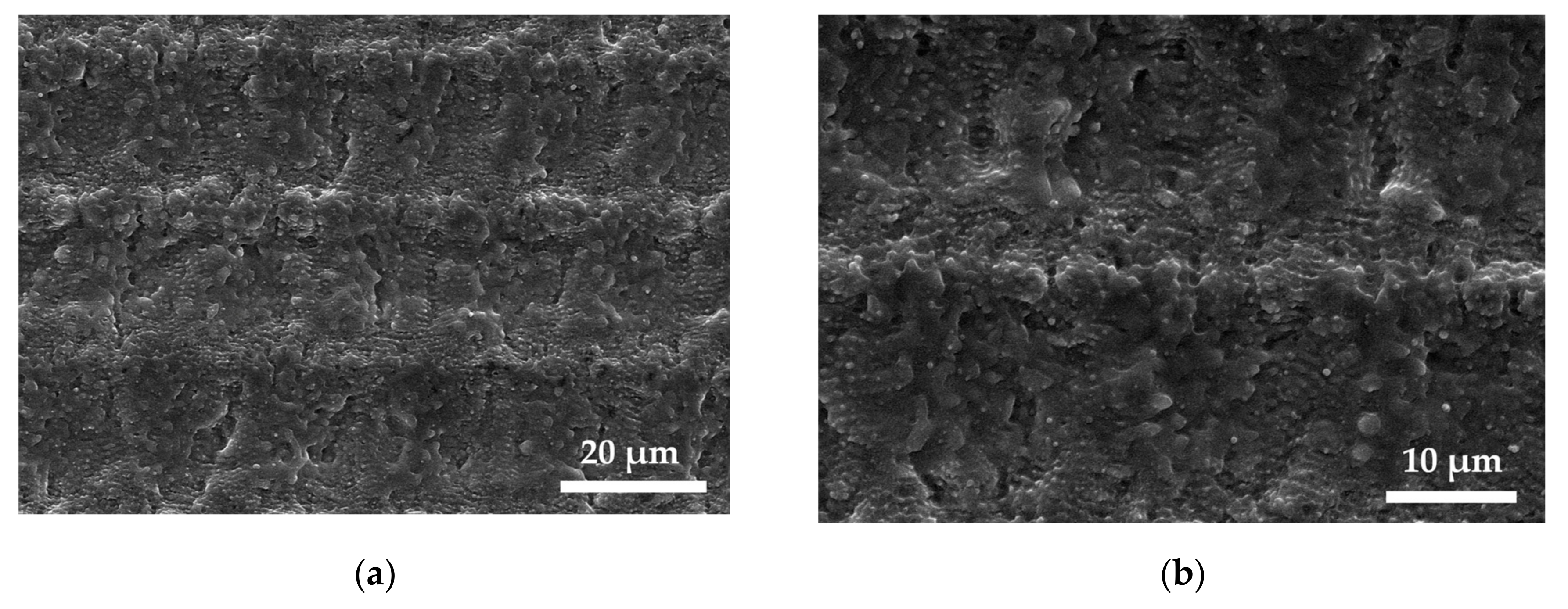 Materials 13 04983 g001