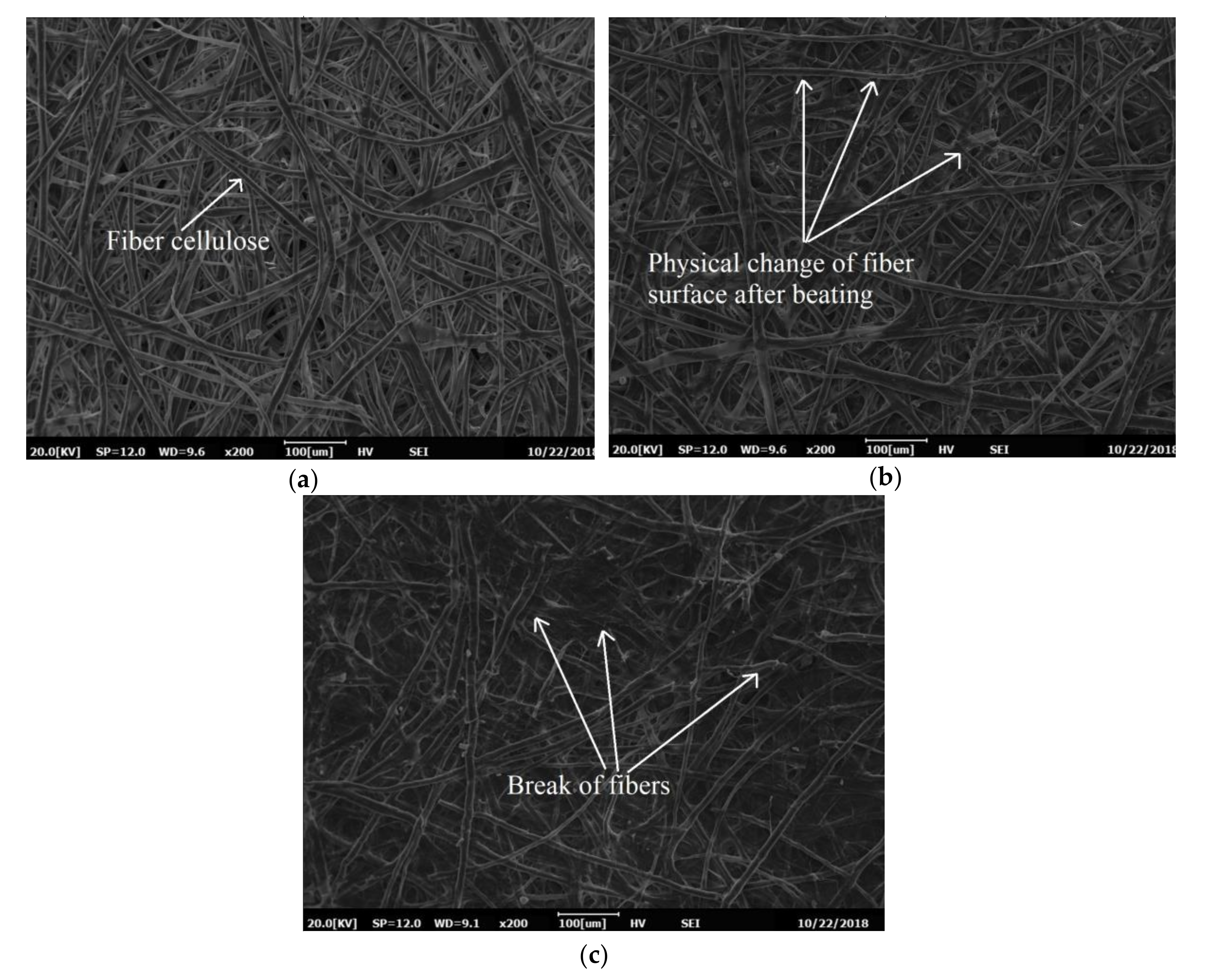 Materials 13 05002 g015