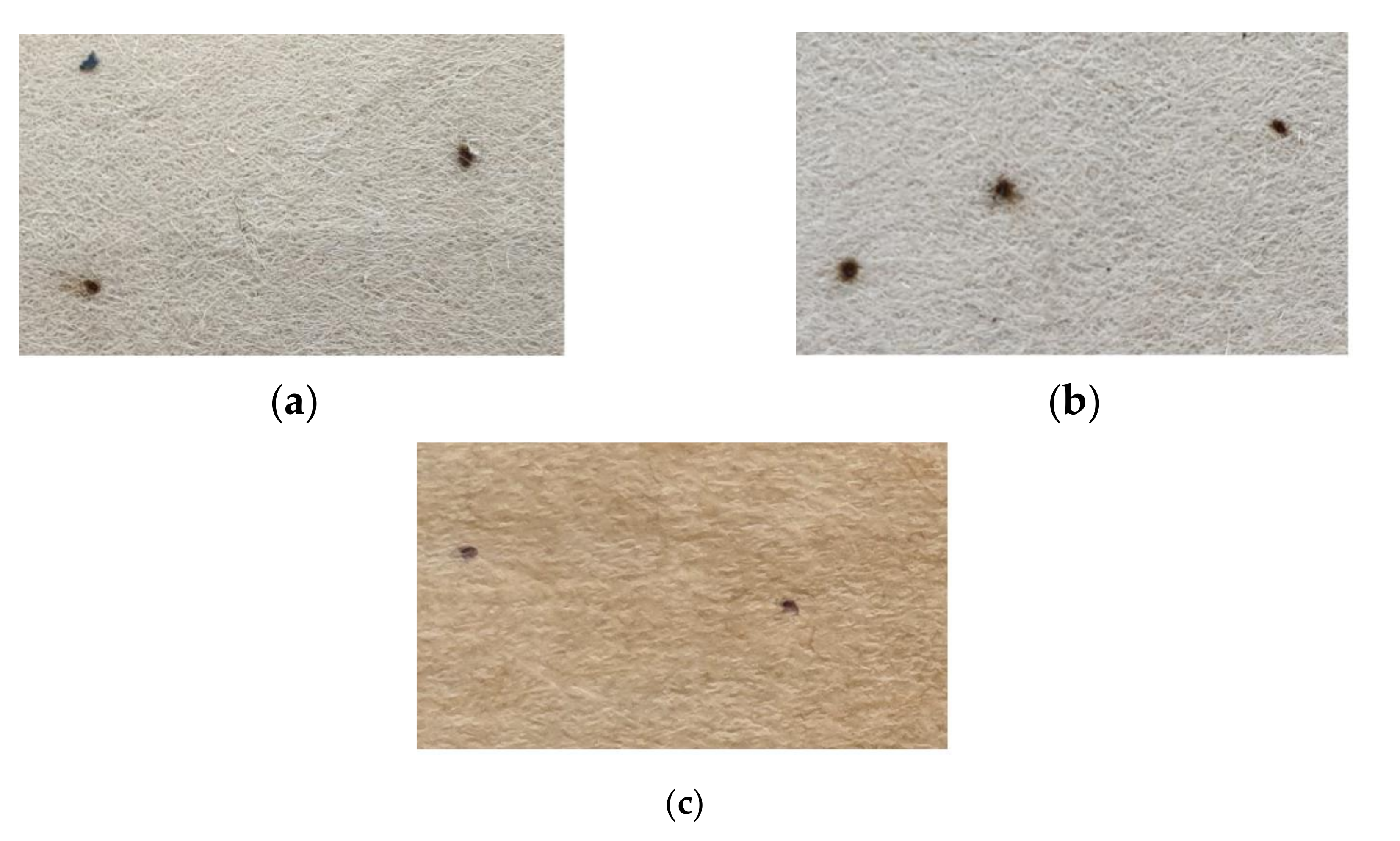 Materials 13 05002 g022