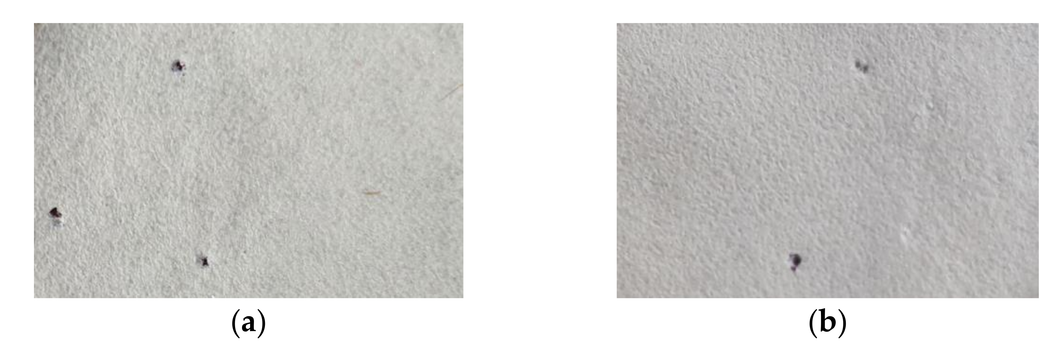 Materials 13 05002 g025