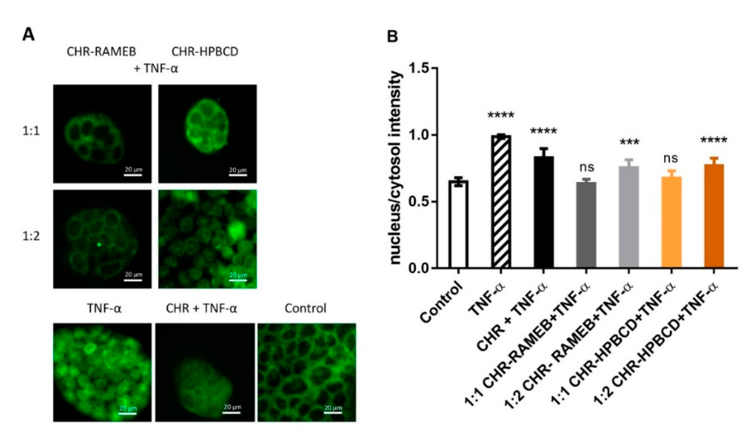 Materials 13 05003 g004