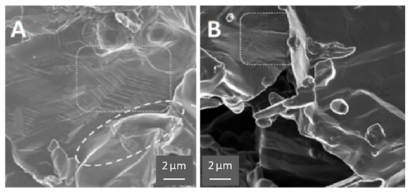 Materials 13 05008 g005