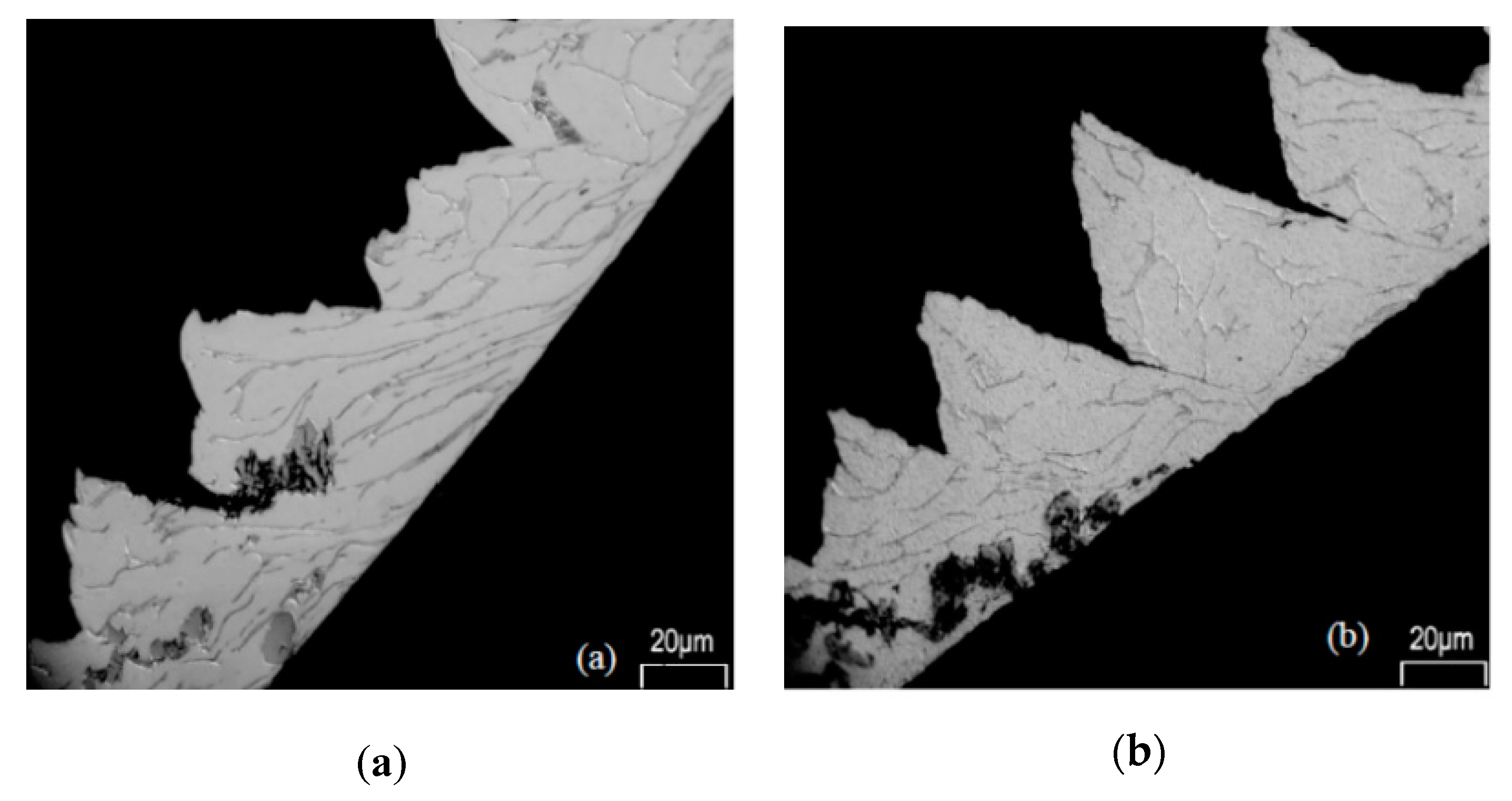 Materials 13 05011 g002