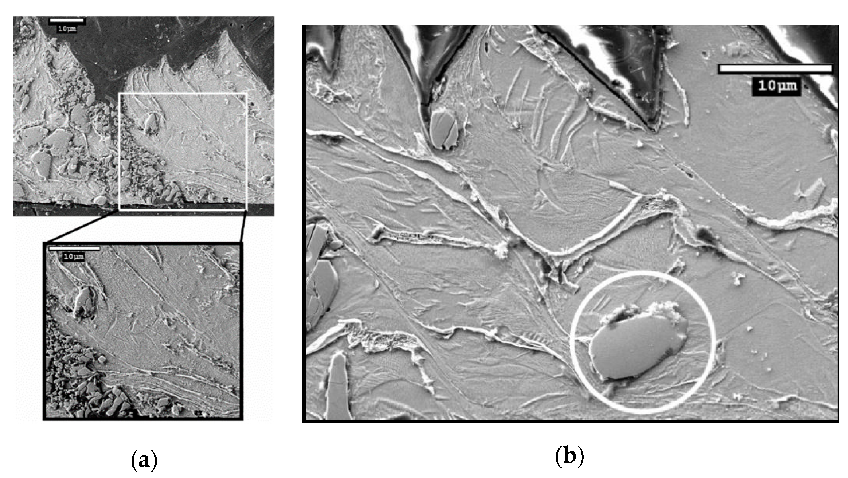 Materials 13 05011 g003