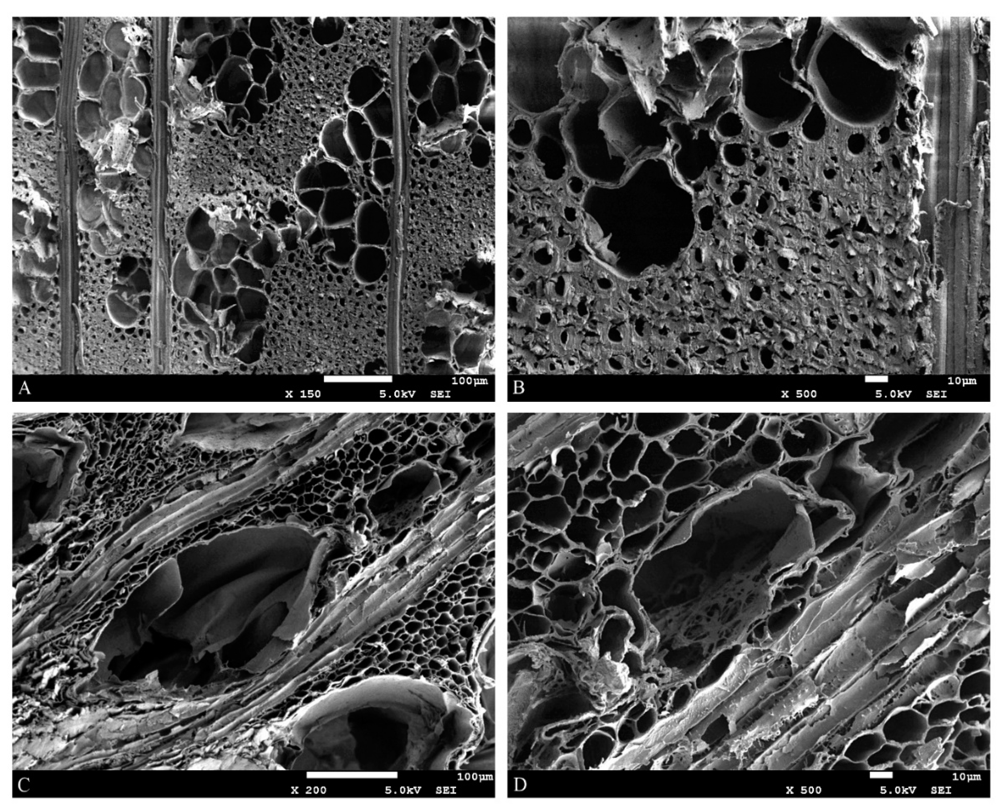 Materials 13 05026 g004